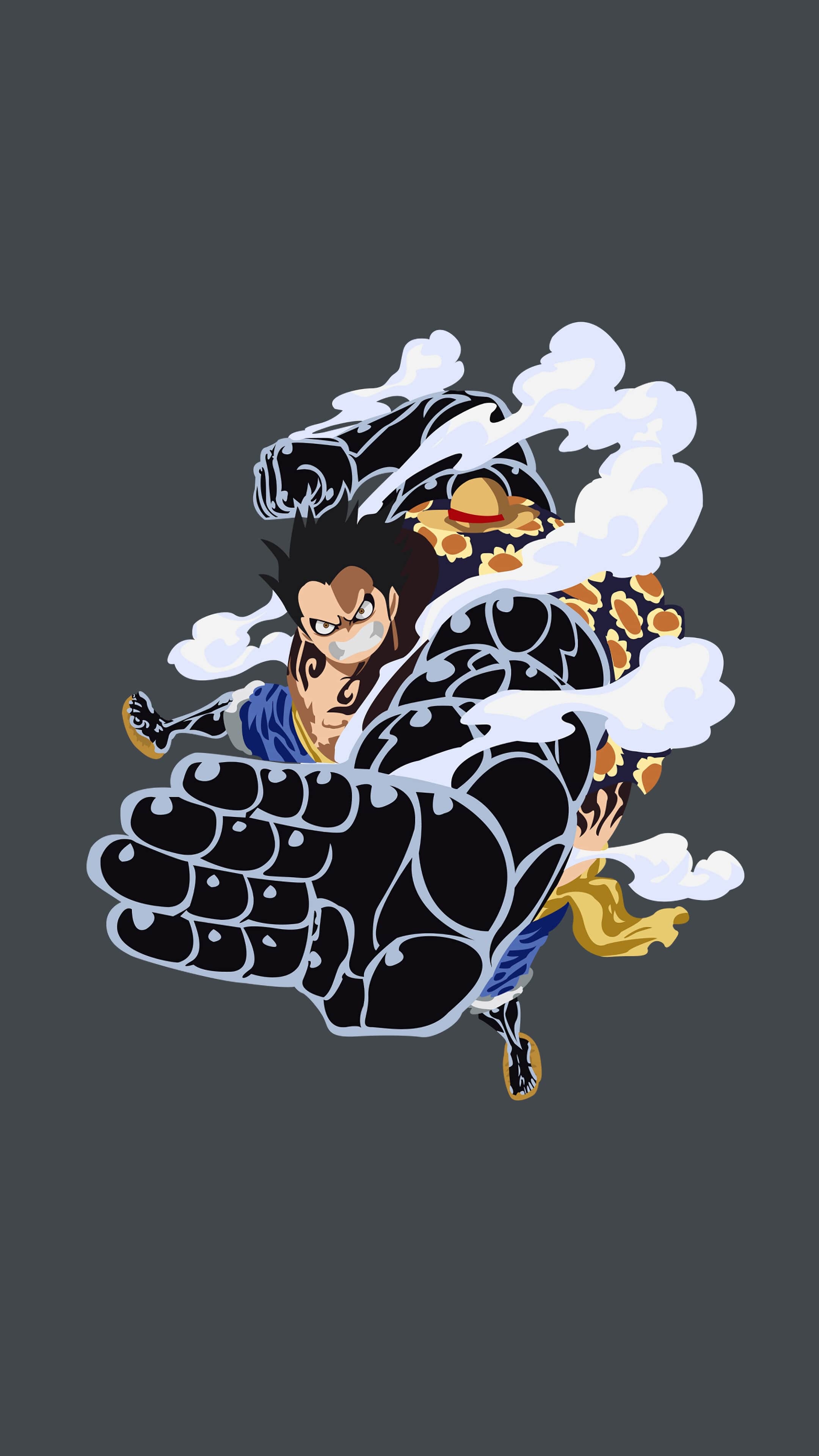 2160x3840 One Piece iphone Wallpaper, Phone