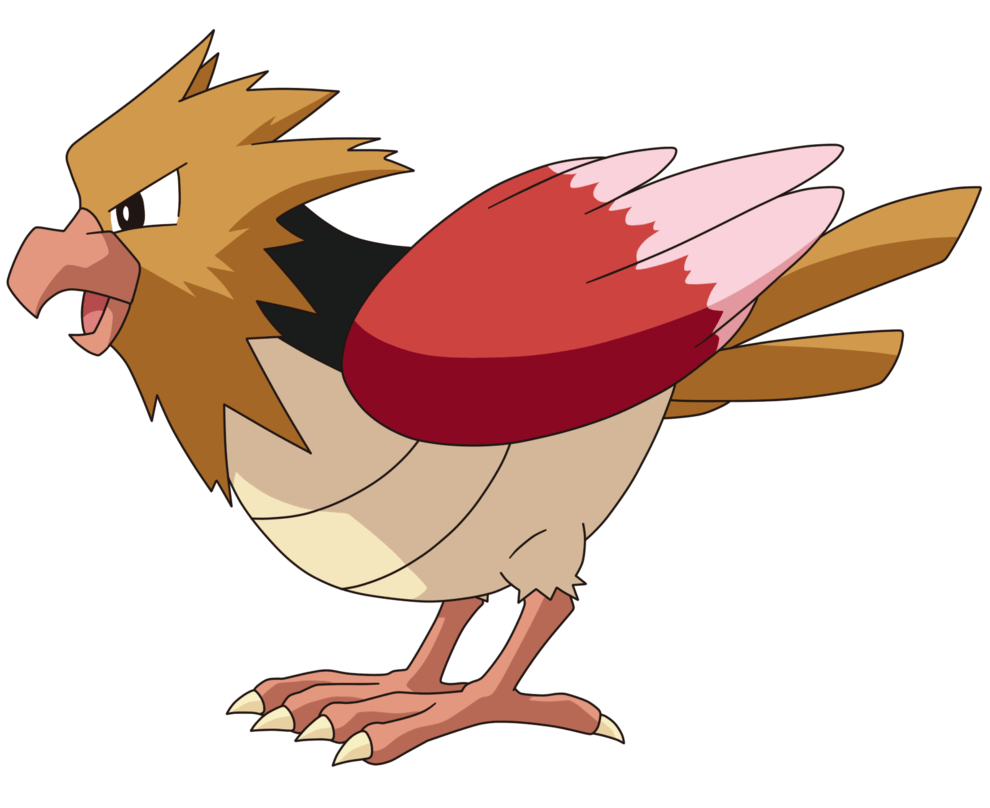 990x810 021 Spearow, Desktop