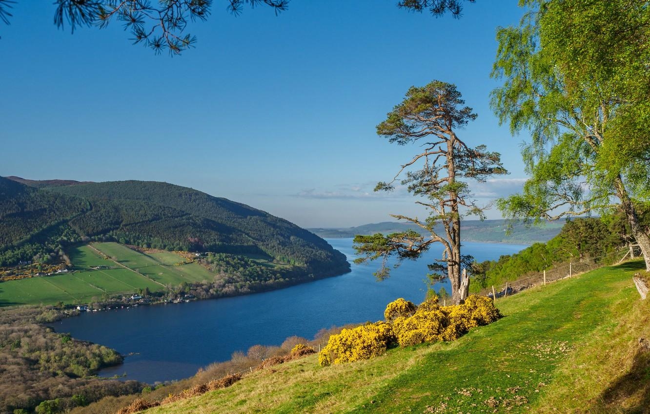 1340x850 Wallpaper trees, lake, hills, slope, Scotland, Scotland, Desktop