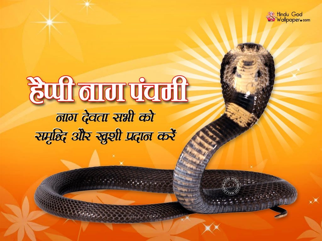 1030x770 Happy Nag Panchami 2019 Image, Photo HD Wallpaper in Hindi, Desktop