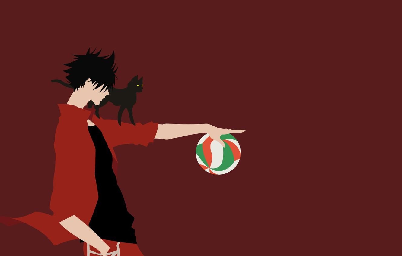 1340x850 Wallpaper cat, the ball, guy, Volleyball, Haikyuu image for desktop, section сёнэн, Desktop