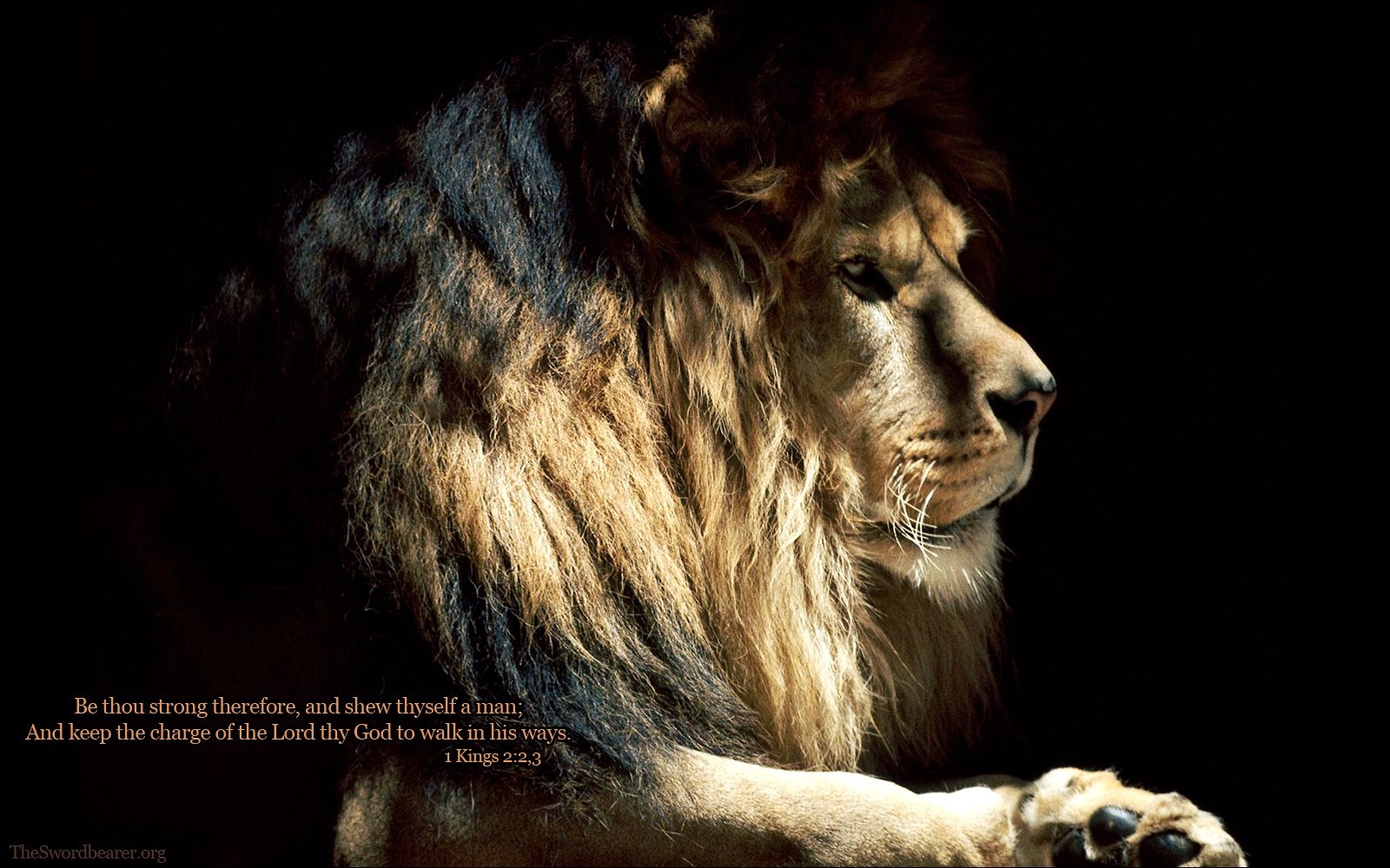 1600x1000 Lion of Judah Background. Lion Judah, Desktop