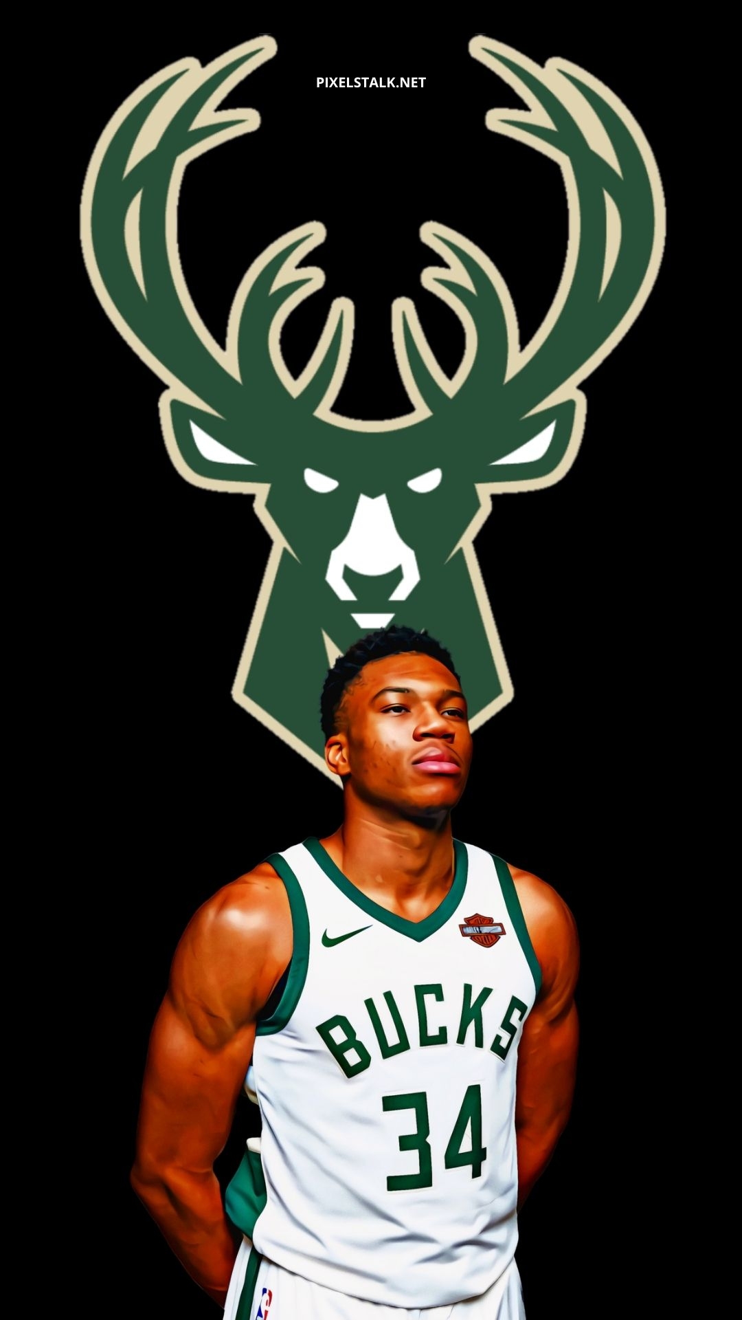 1080x1920 Giannis Antetokounmpo Wallpaper HD, Phone