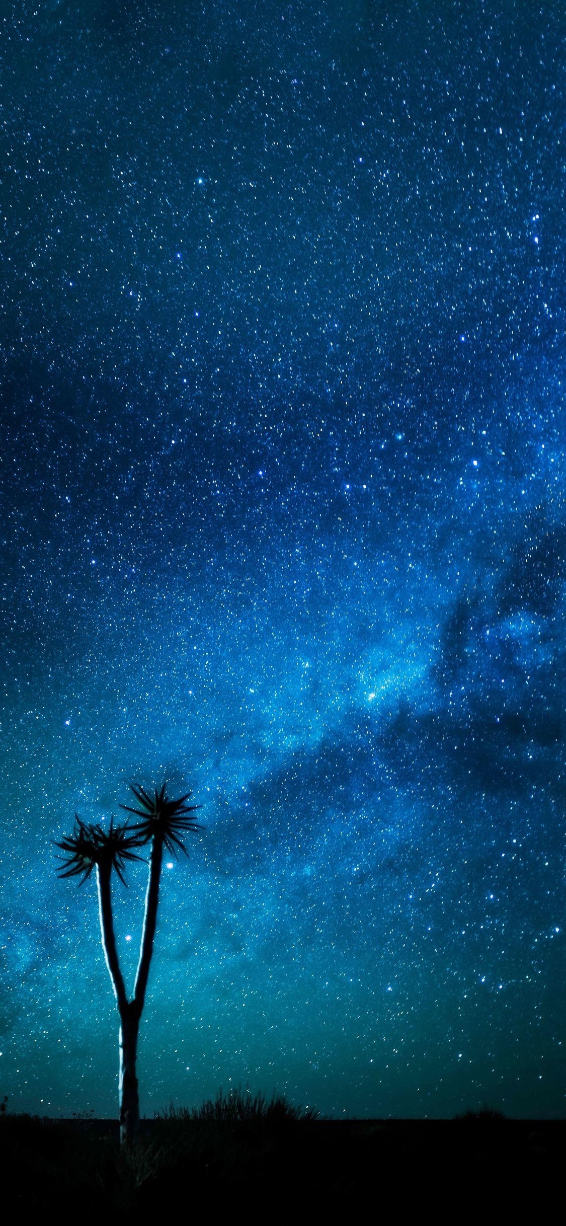 1130x2440 Milkyway 8k iPhone X, iPhone 10 HD 4k Wallpaper, Image, Phone