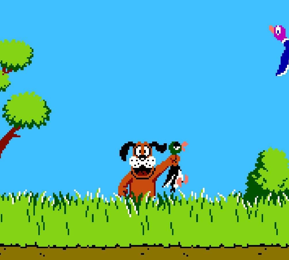 1010x900 Duck Hunt wallpaper, Desktop