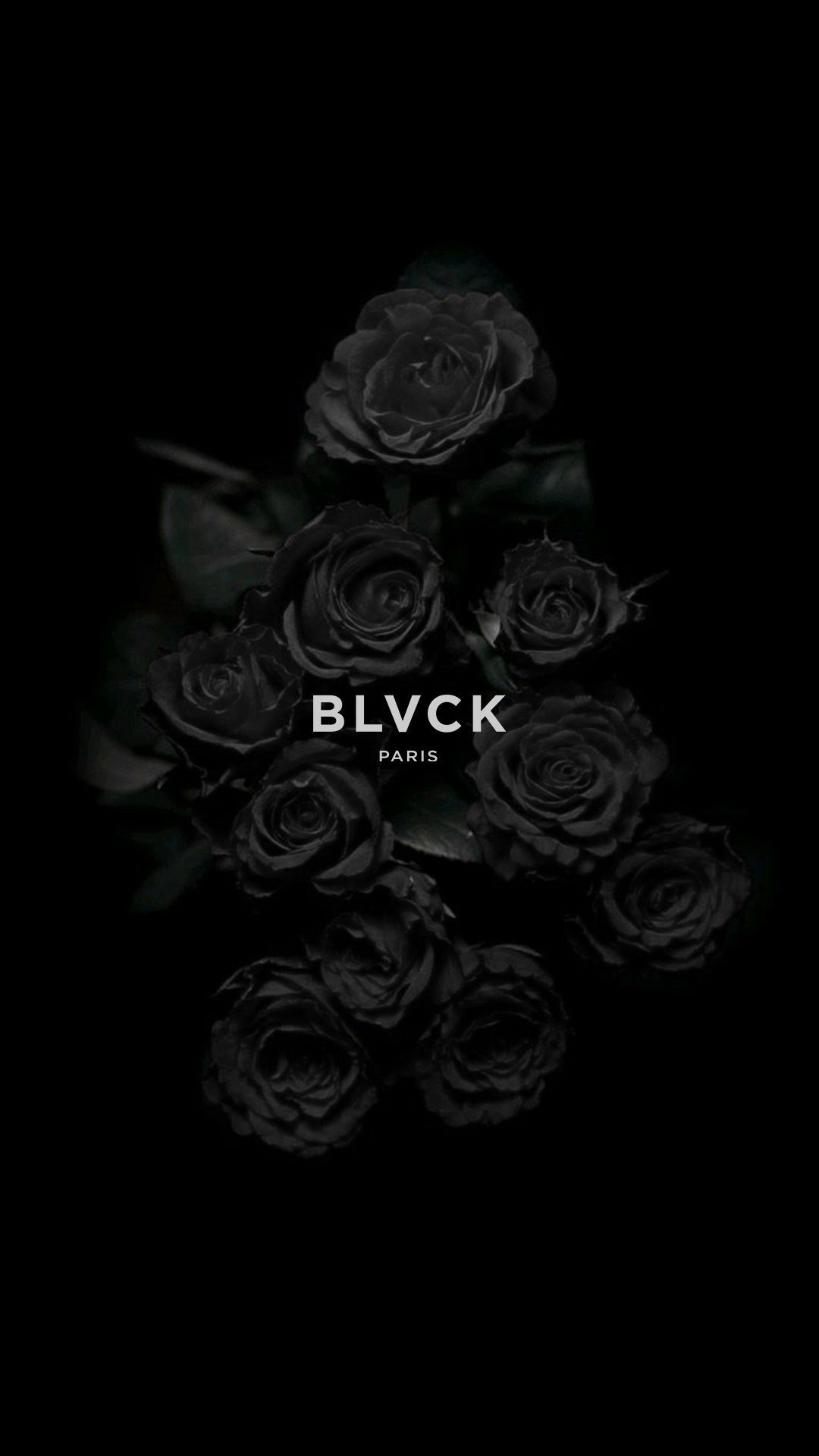 1080x1920 Black Roses Wallpaper. Black roses wallpaper, Black and white aesthetic, Black rose, Phone