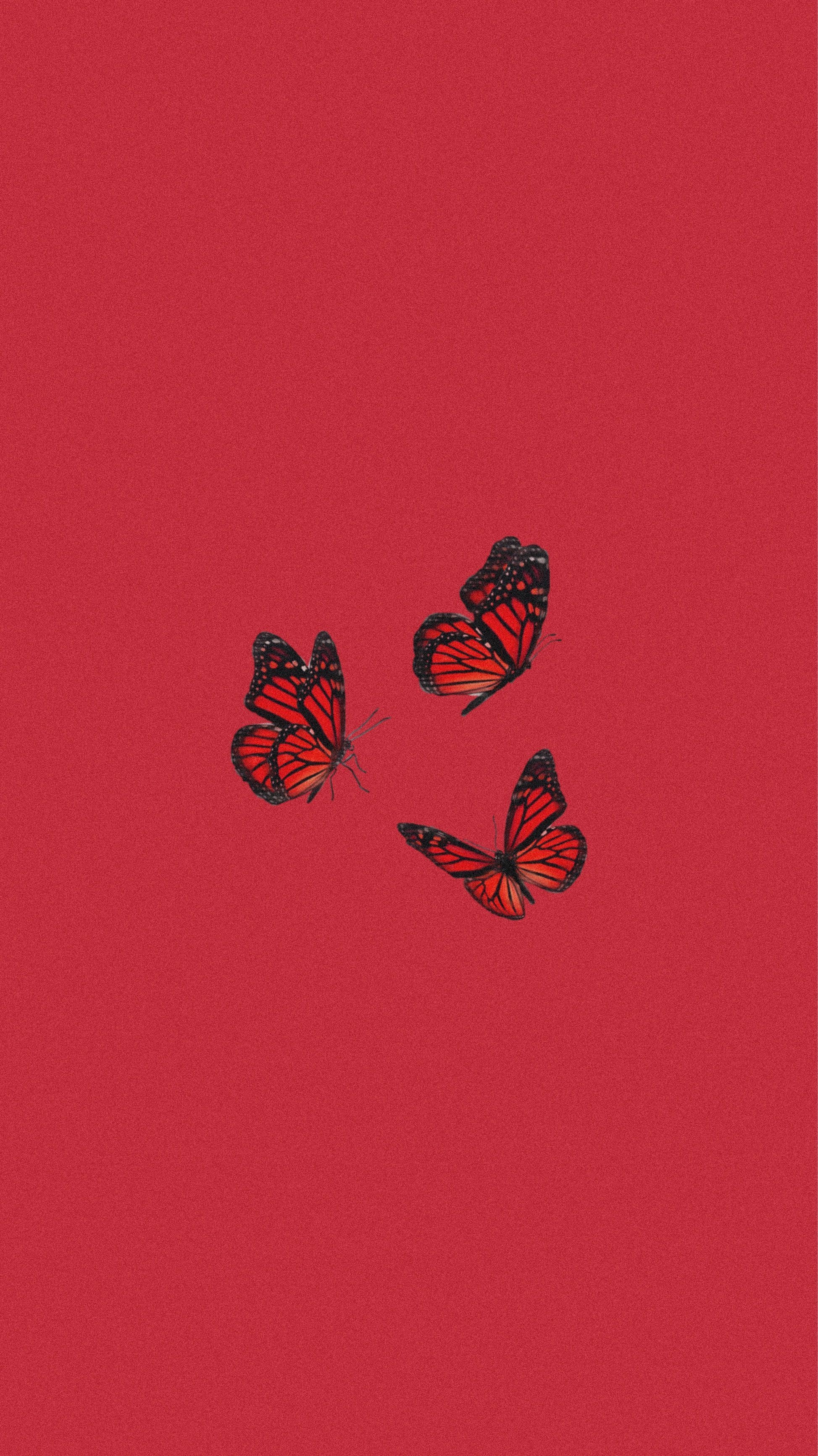 1950x3470 Cute Red Butterfly Wallpaper Free Cute Red Butterfly Background, Phone