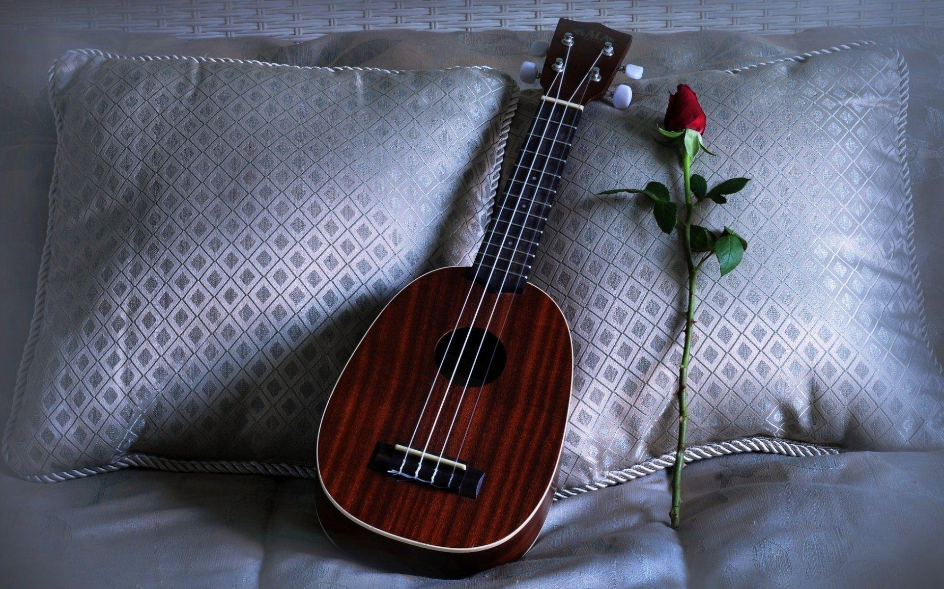 1930x1200 ukulele rose pillows love song HD wallpaper, Desktop