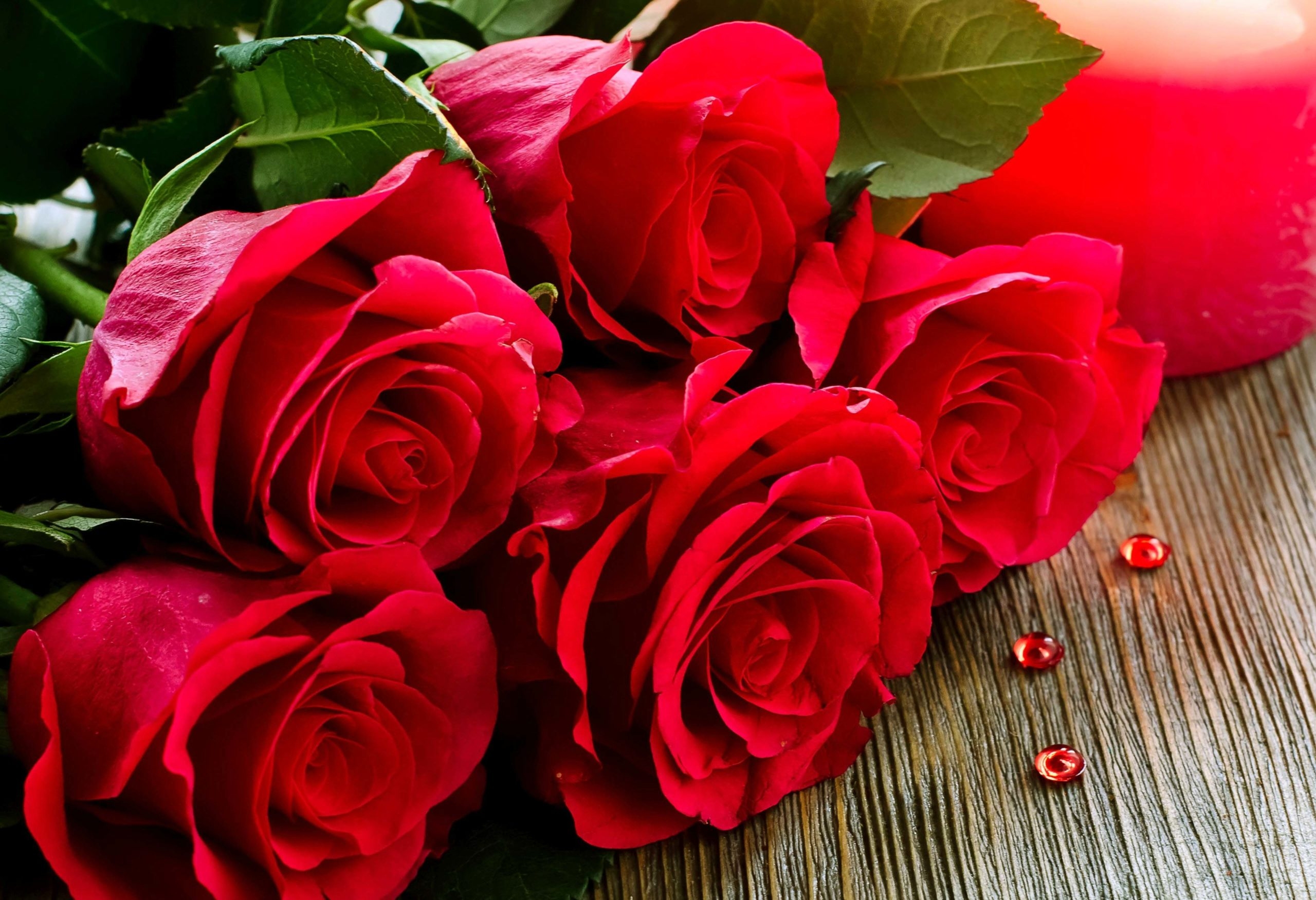 2560x1760 Rose Day Image Wallpaper Picture DP For Whatsapp For Couples Best Friends Red, White, Yellow Roses Pics, Desktop