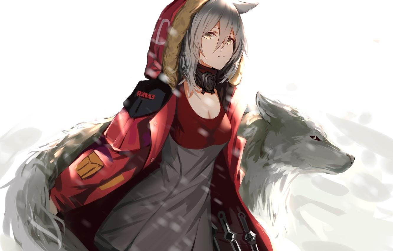 1340x850 Wallpaper girl, Wolf, Anime, higandgk, arknights, projekt, Desktop