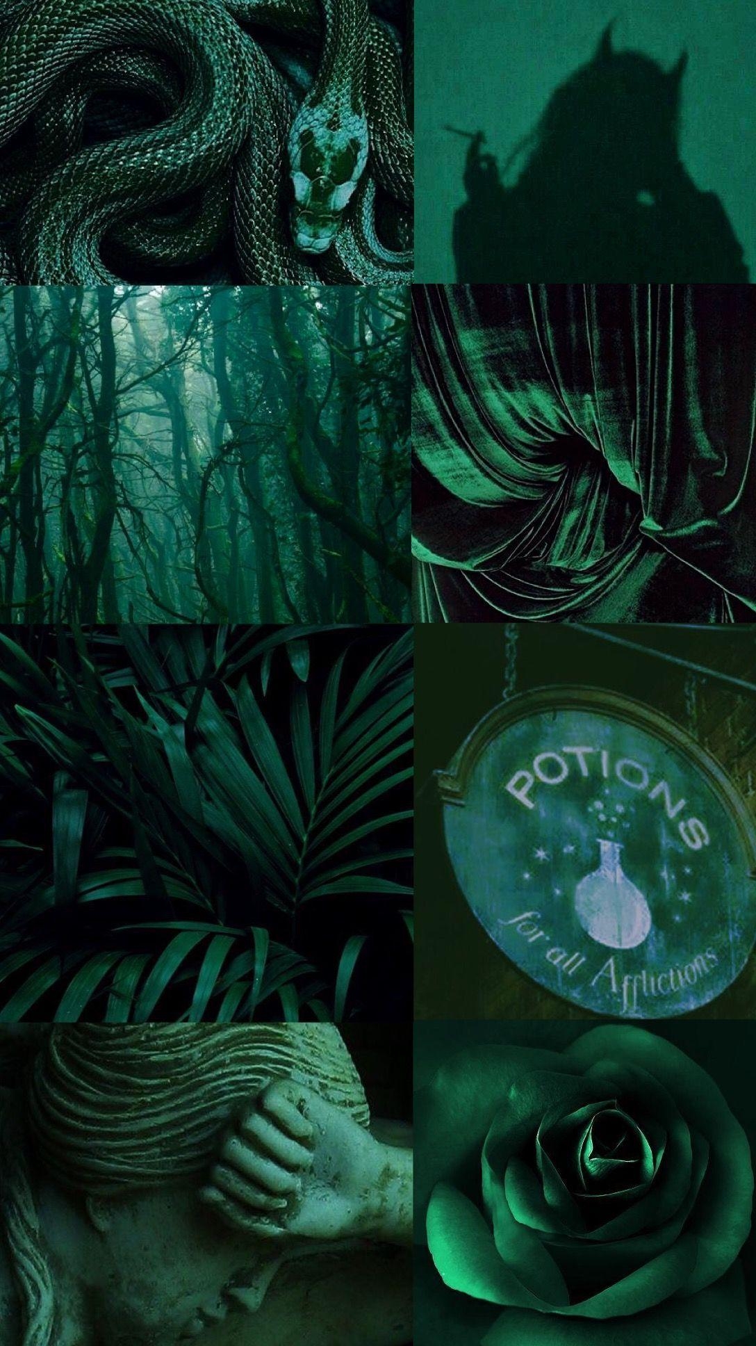 1090x1940 dark green aesthetic. Cattails // Melony DuPouir. Dark, Phone