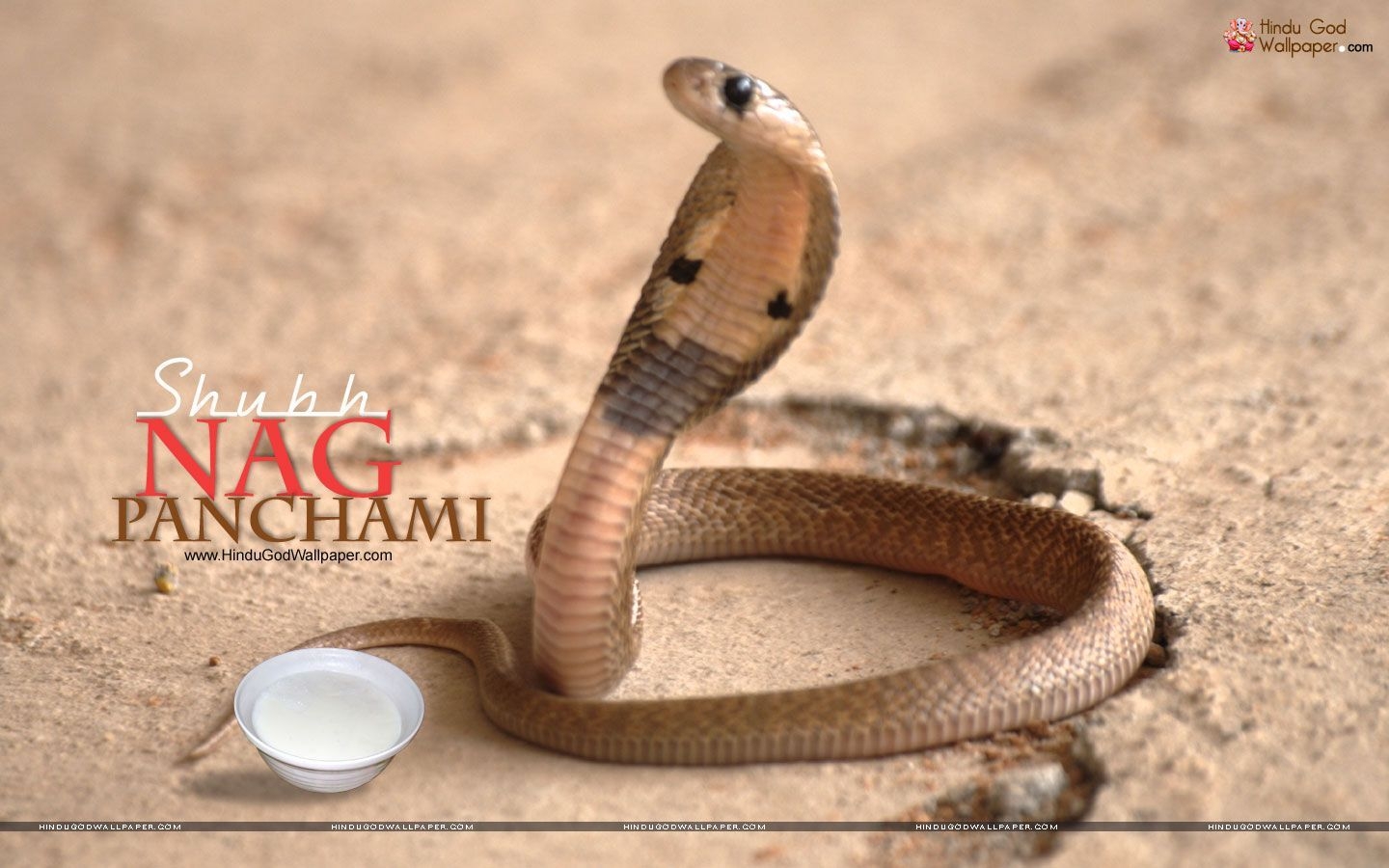 1440x900 Happy Nag Panchami Image Download, Desktop