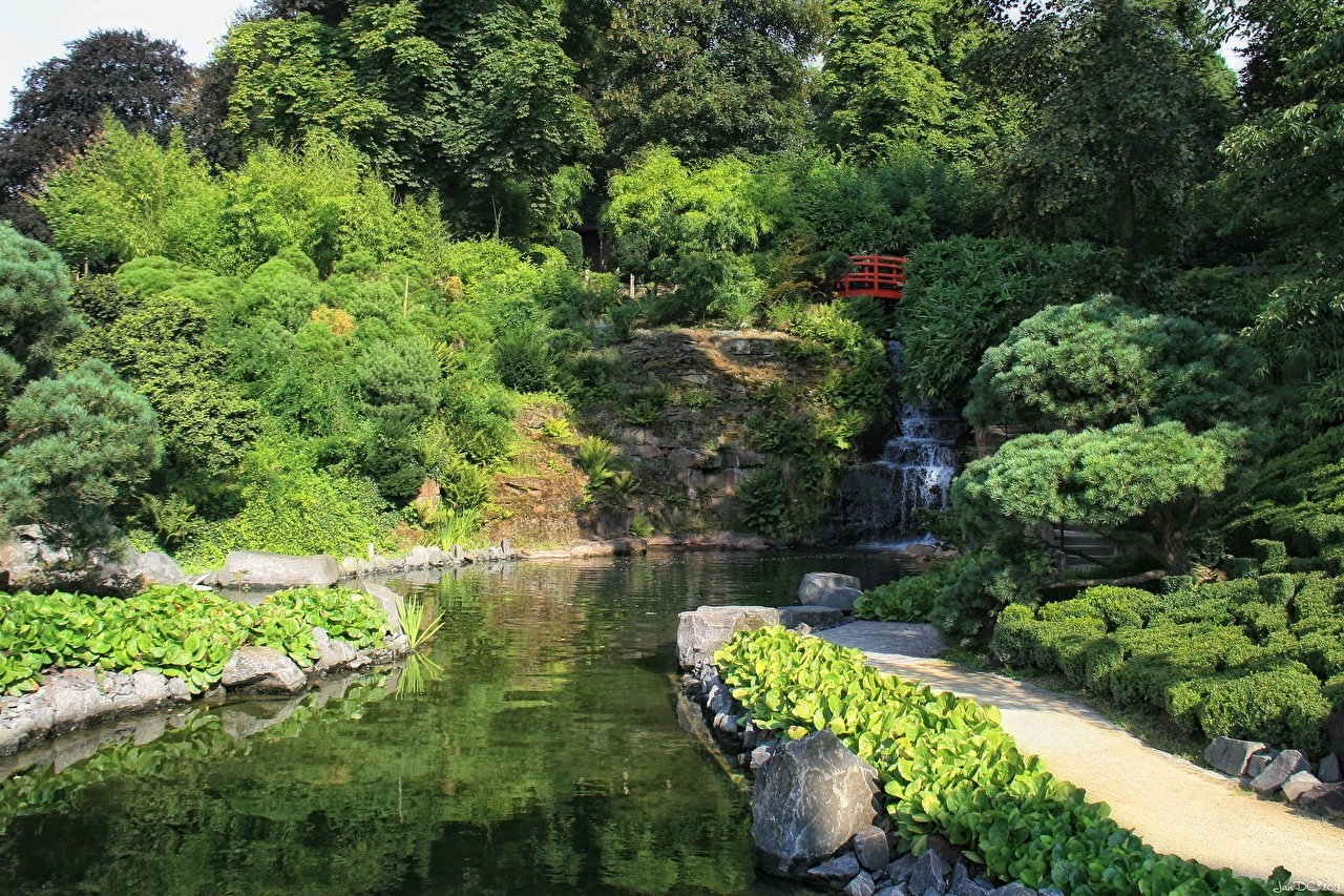 1280x860 Picture Germany Kaiserslautern Nature Pond Gardens, Desktop