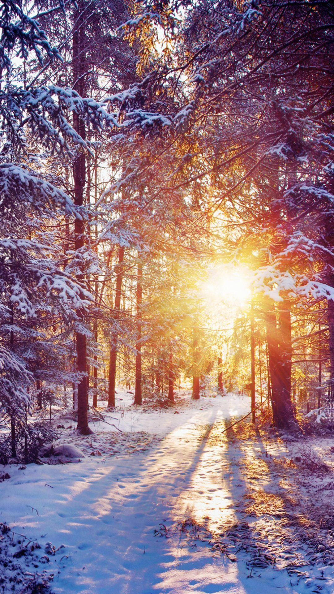 1080x1920 BEAUTIFUL NATURE WALLPAPER FREE TO DOWNLOAD. Winter, Phone