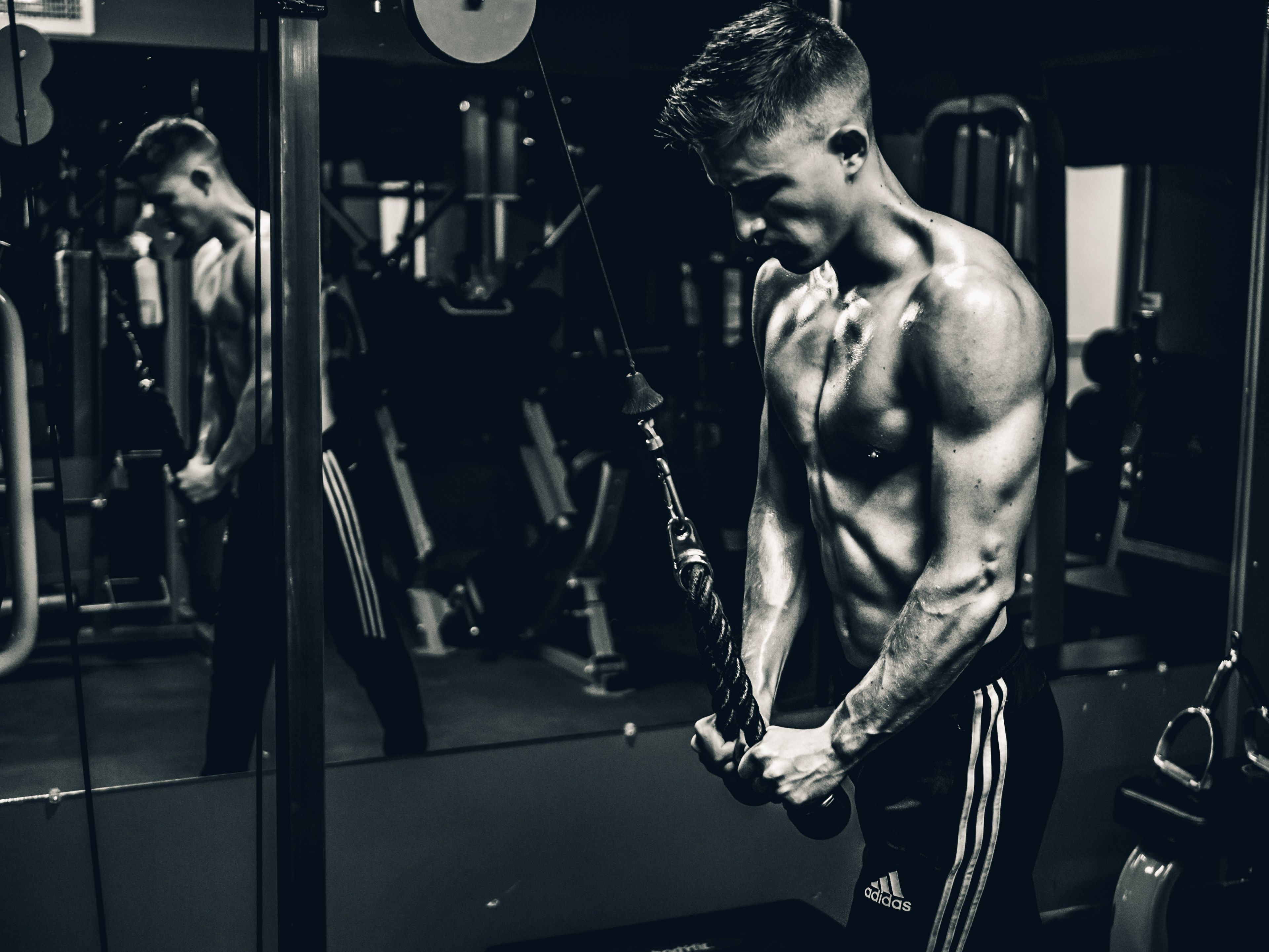 3840x2890 Wallpaper / gym man training and strong HD 4k wallpaper free download, Desktop