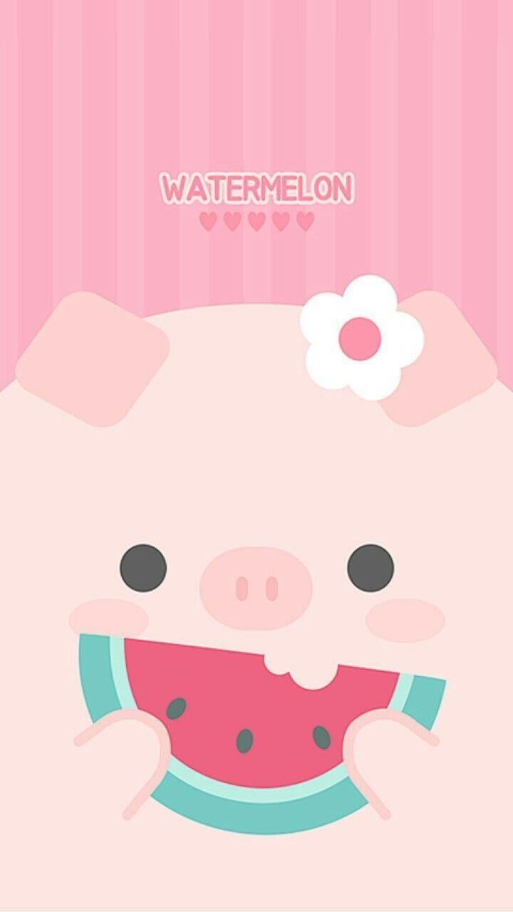 720x1280 Pig Eating Watermelon. Pig wallpaper, Cute pigs, Watermelon wallpaper, Phone