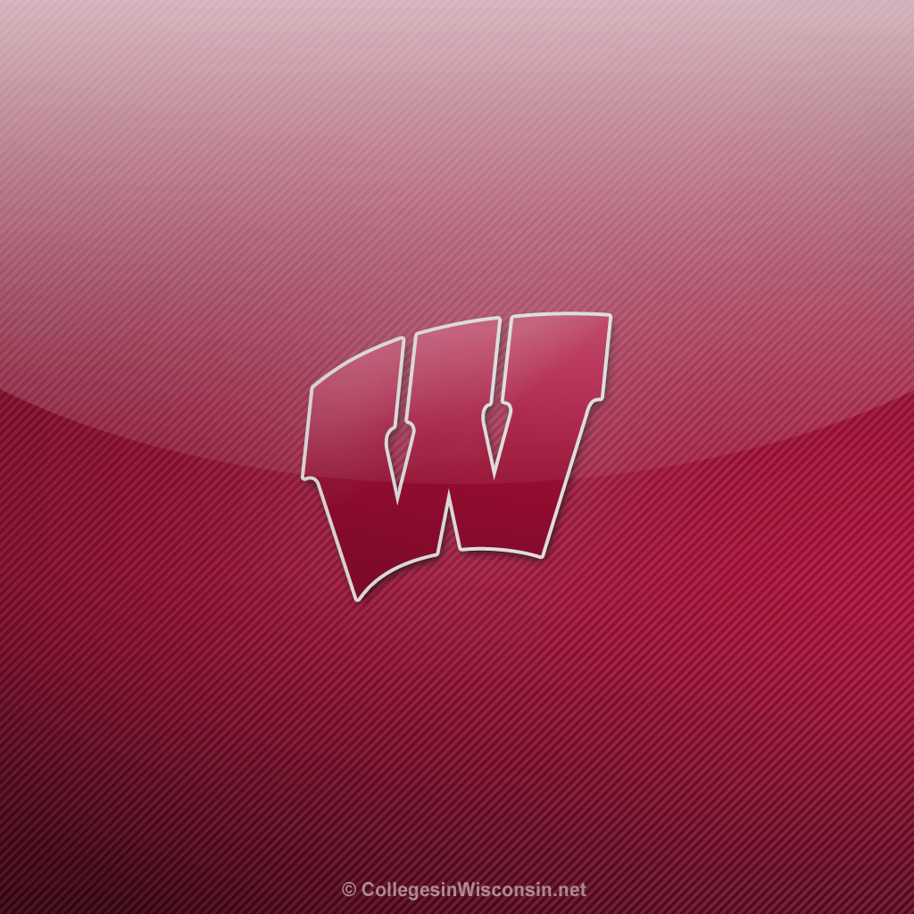 1030x1030 Wisconsin Badger Wallpaper Free, Phone