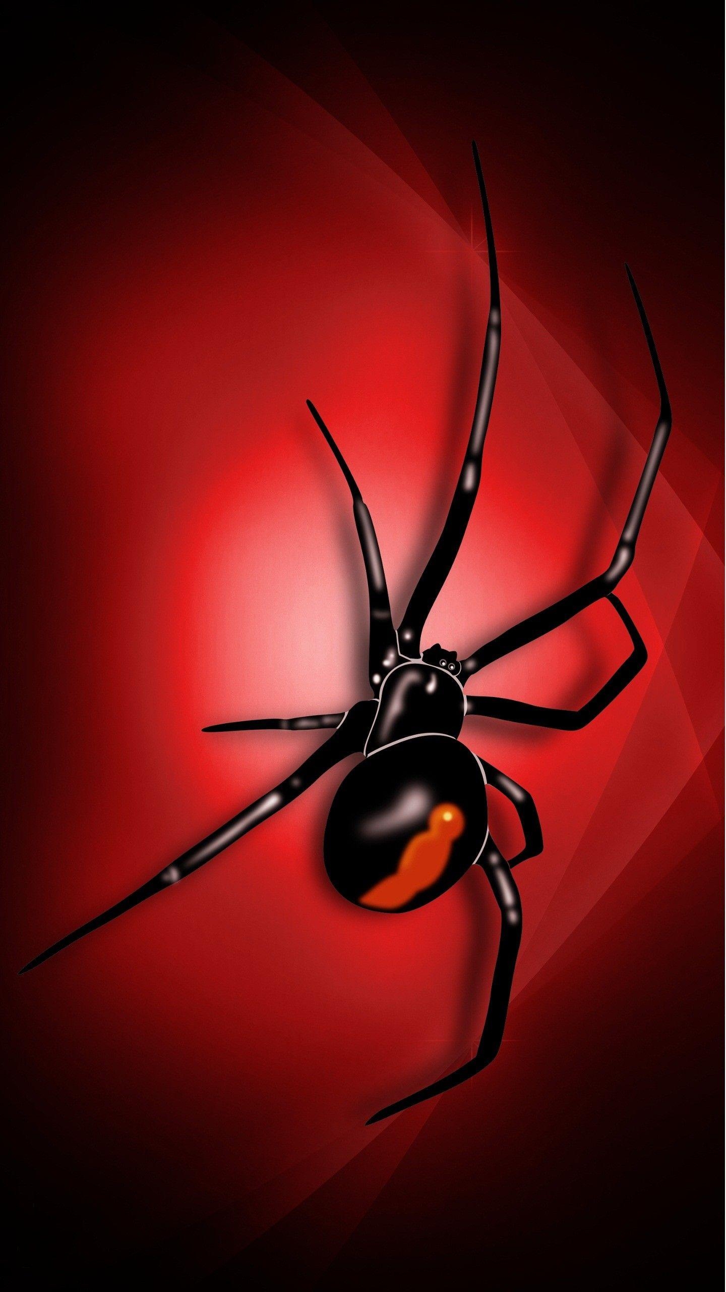 1440x2560 Spider Wallpaper, Phone