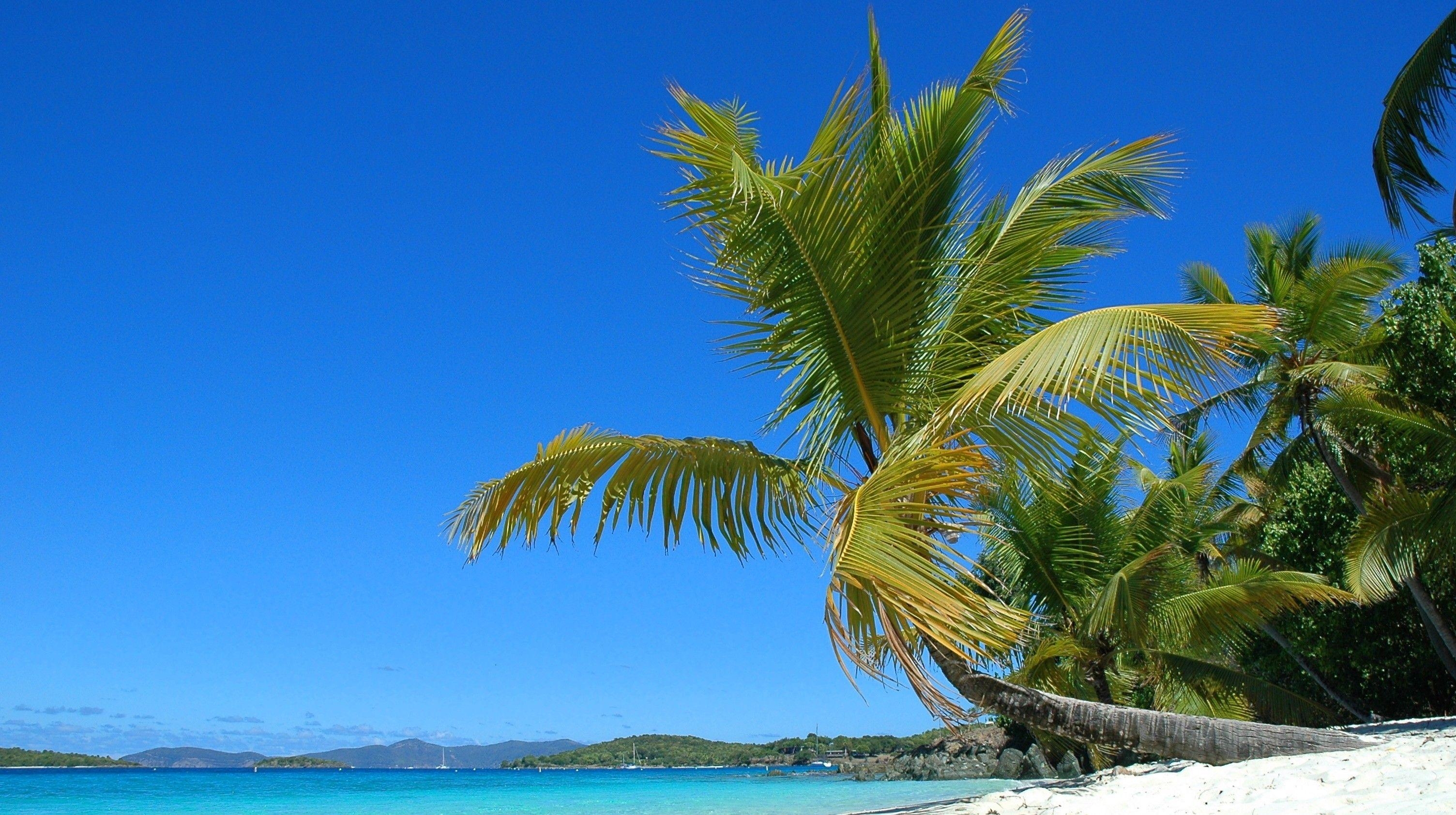 3010x1690 Beach: Solomon Islands South Pacific Water Palms Summer Sea, Desktop