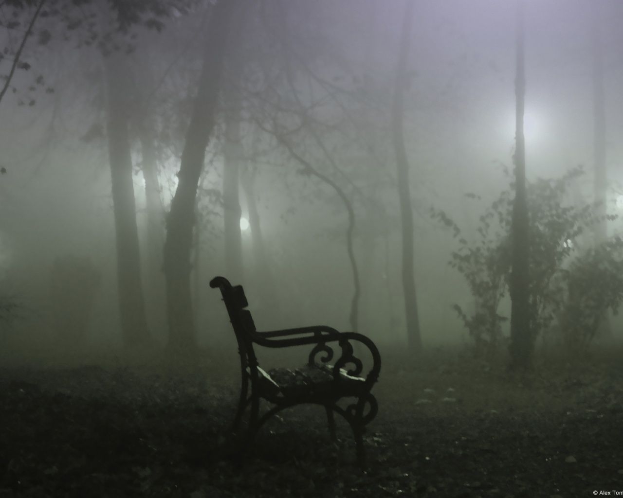 1280x1030 Fog Alone Dark desktop PC and Mac wallpaper, Desktop