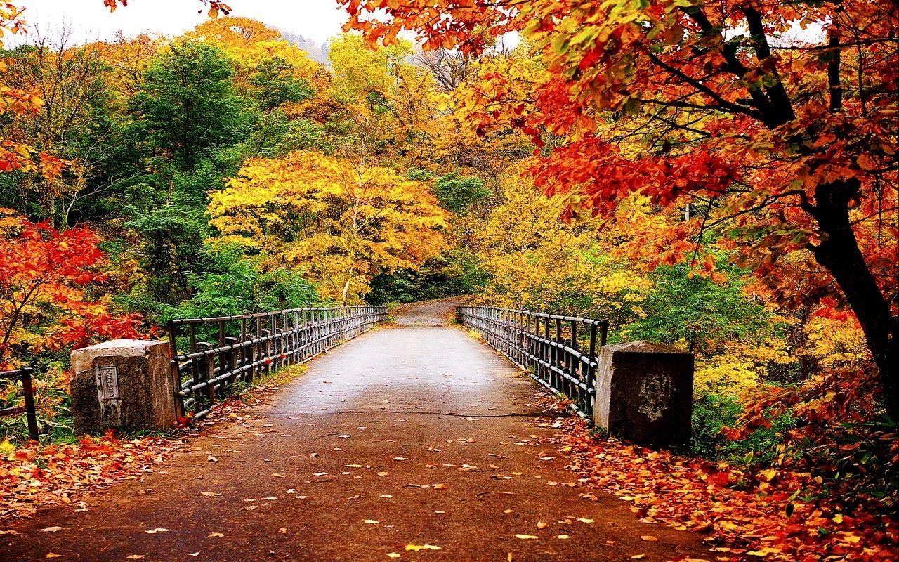 1280x800 Autumn Wallpaper, Desktop