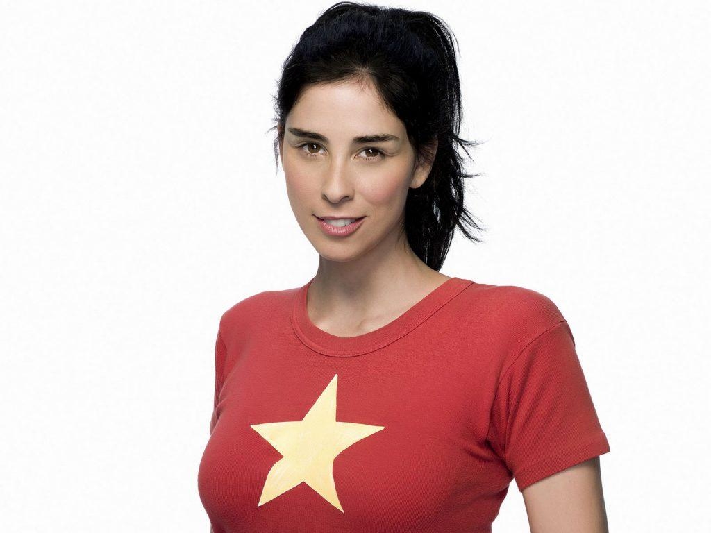 1030x770 Sarah Silverman wallpaper, Desktop