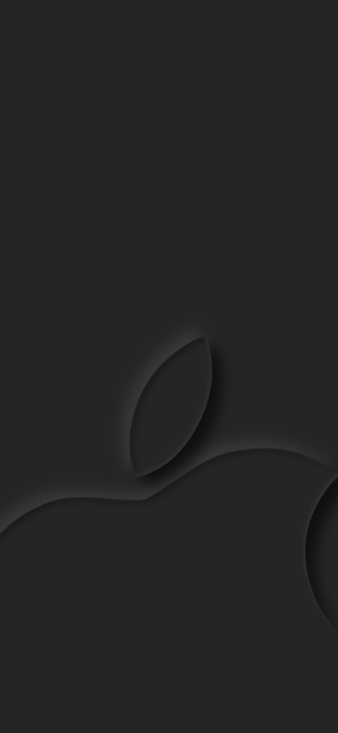 1130x2440 Apple Logo Dark Grey 4k iPhone XS, iPhone iPhone X HD 4k Wallpaper, Image, Background, Photo and Picture, Phone