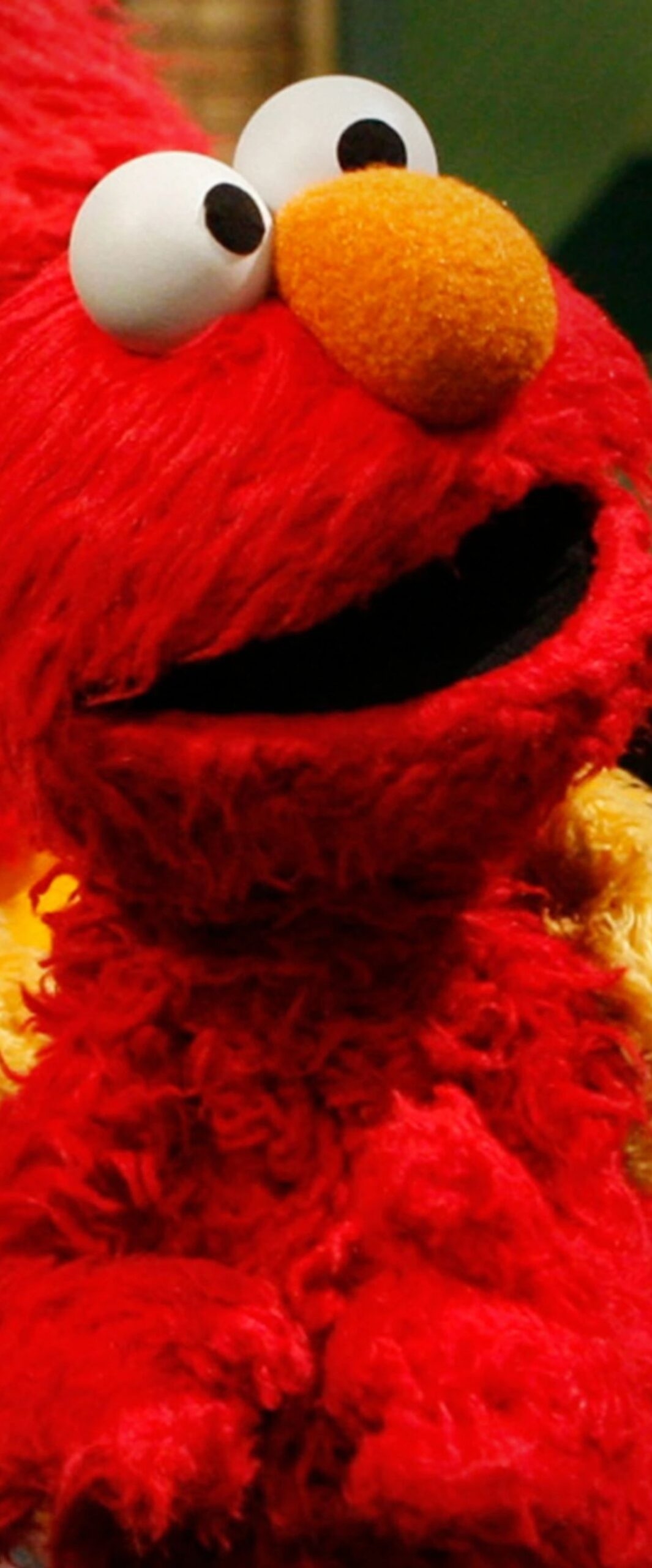 1070x2560 Best Elmo iPhone Wallpaper 4k, Phone