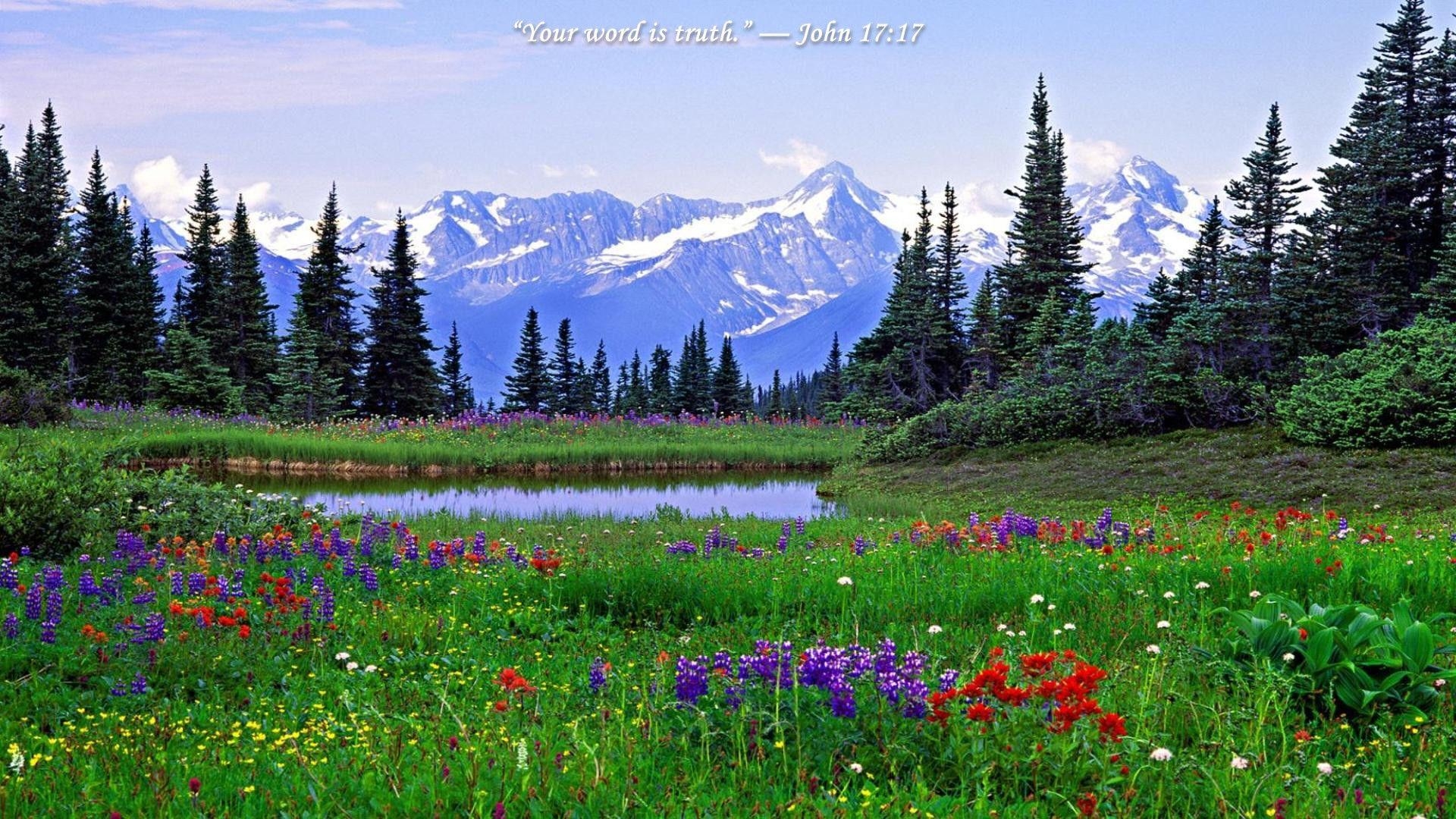 1920x1080 Rocky Mountain Wildflowers Photo 18 Desktop Wallpaper, Desktop