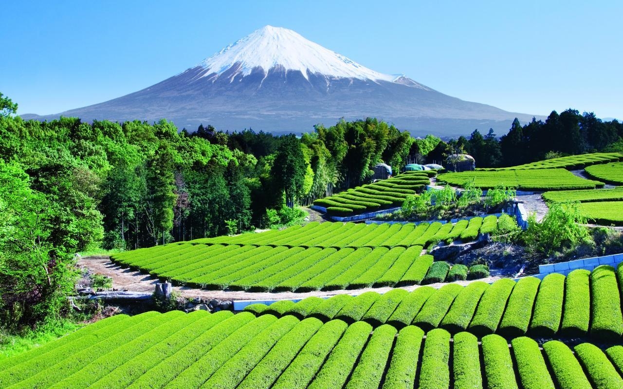 1280x800 mount_fuji_japan_hi_res_, Desktop