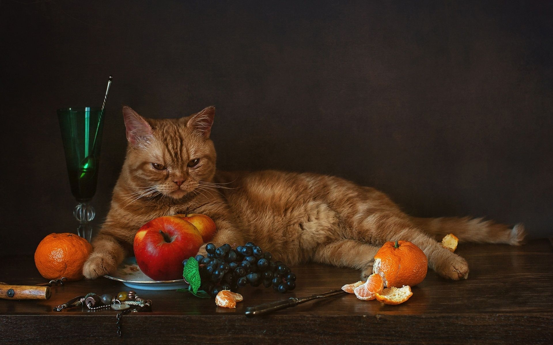 1920x1200 Wallpaper Cat and fruit, grapes, tangerines, apples  HD Picture, Image, Desktop