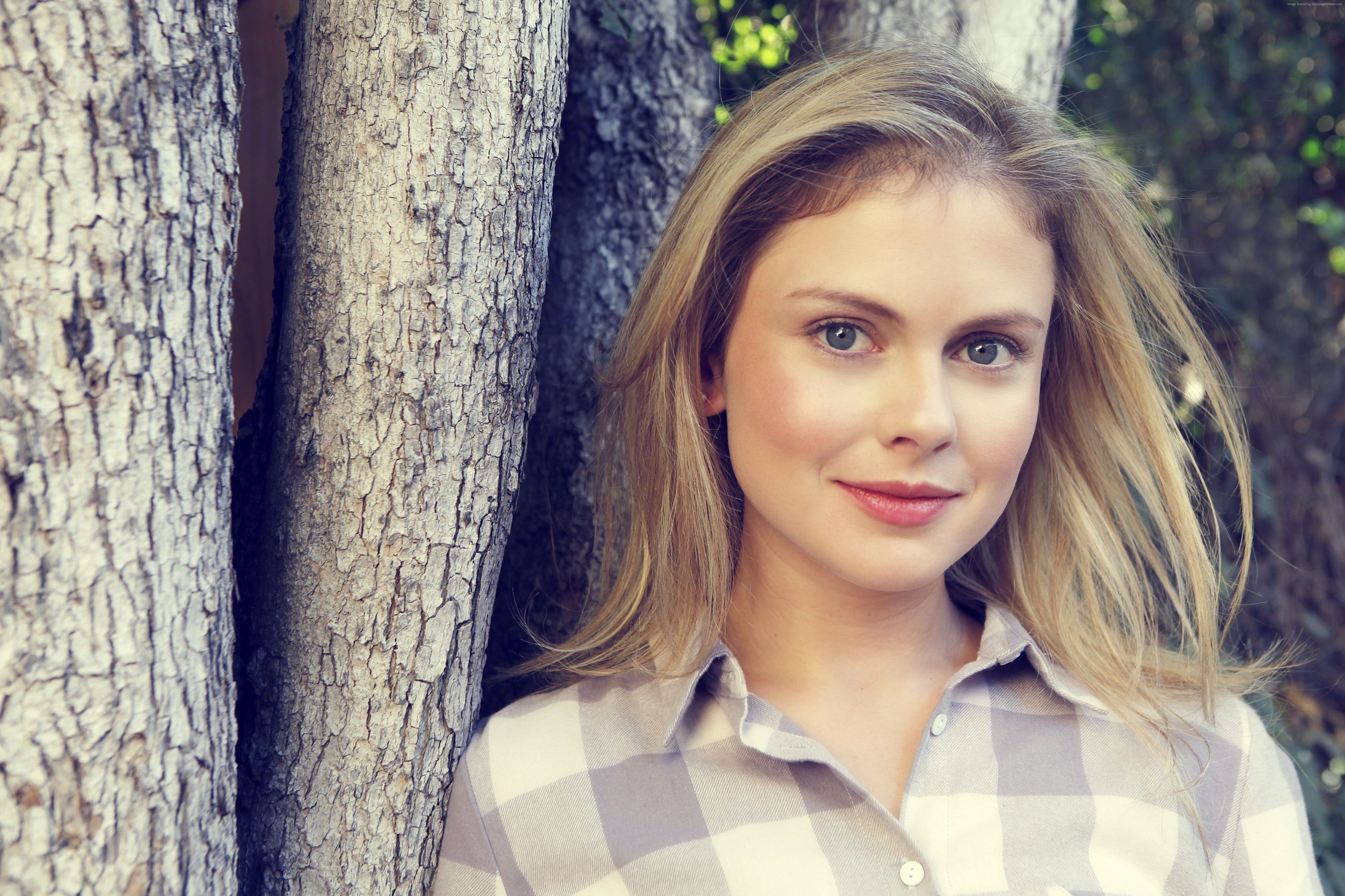 3840x2560 rose mciver 4k wallpaper ultra HD. Rose mciver, Blonde, Desktop