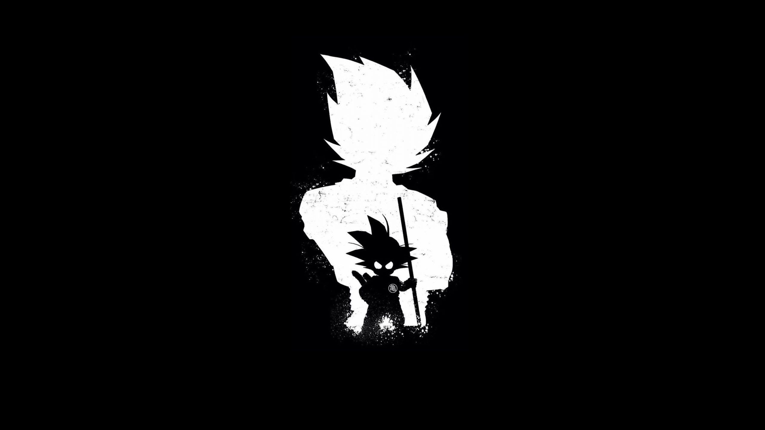 2560x1440 Dark Wallpaper • Wallpaper Son Goku and Vegeta silhouette, Dragon Ball, real people, lifestyles • Wallpaper For You The Best Wallpaper For Desktop & Mobile, Desktop