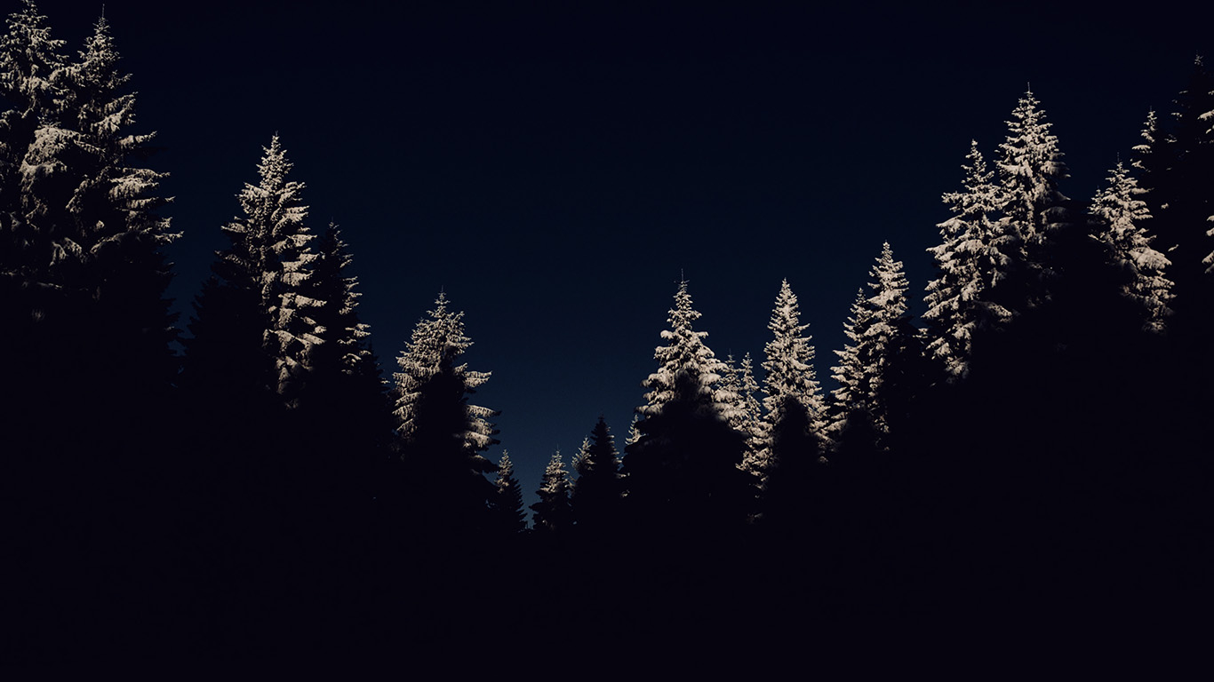 1370x770 Wood Winter Night Mountain Dark Wallpaper, Desktop