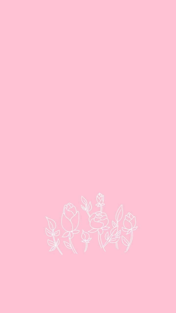 720x1280 pink flower. Prisci. Pink aesthetic, Aesthetic colors, Phone