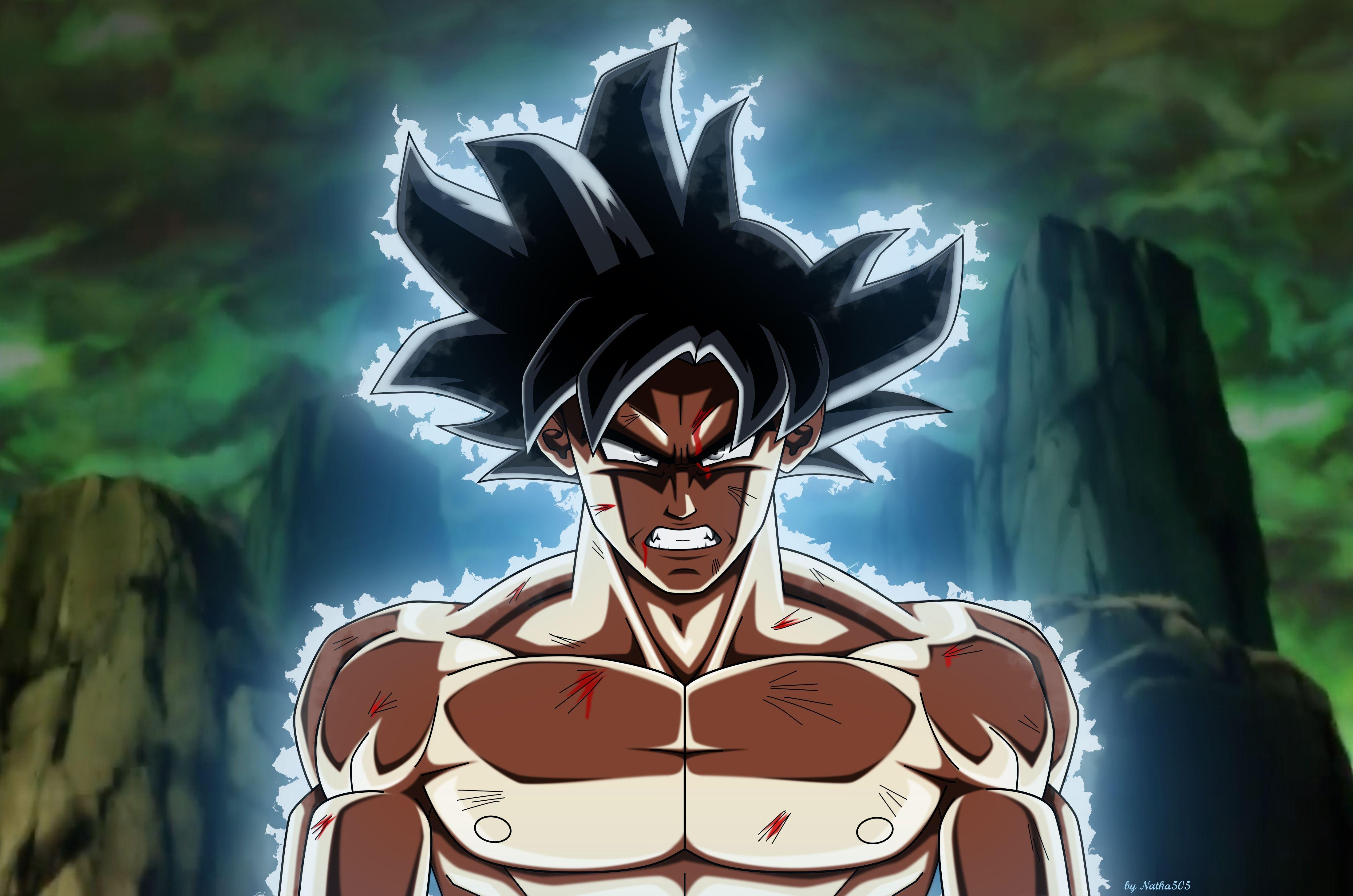 4410x2920 Dragon Ball Super Goku Ultra Instinct, HD Tv Shows, 4k Wallpaper, Desktop