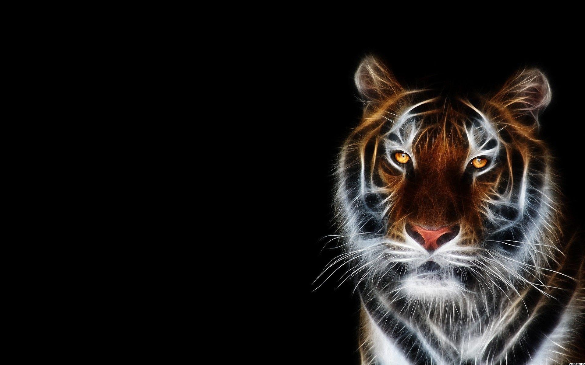 1920x1200 Angry Tiger Wallpaper, Desktop