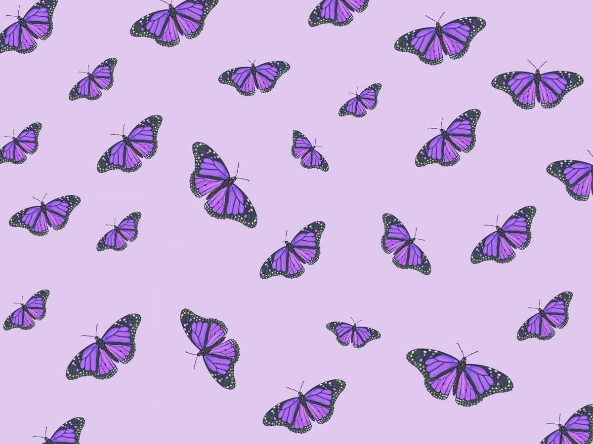 1200x900 Background butterfly iPad. Space phone, Desktop