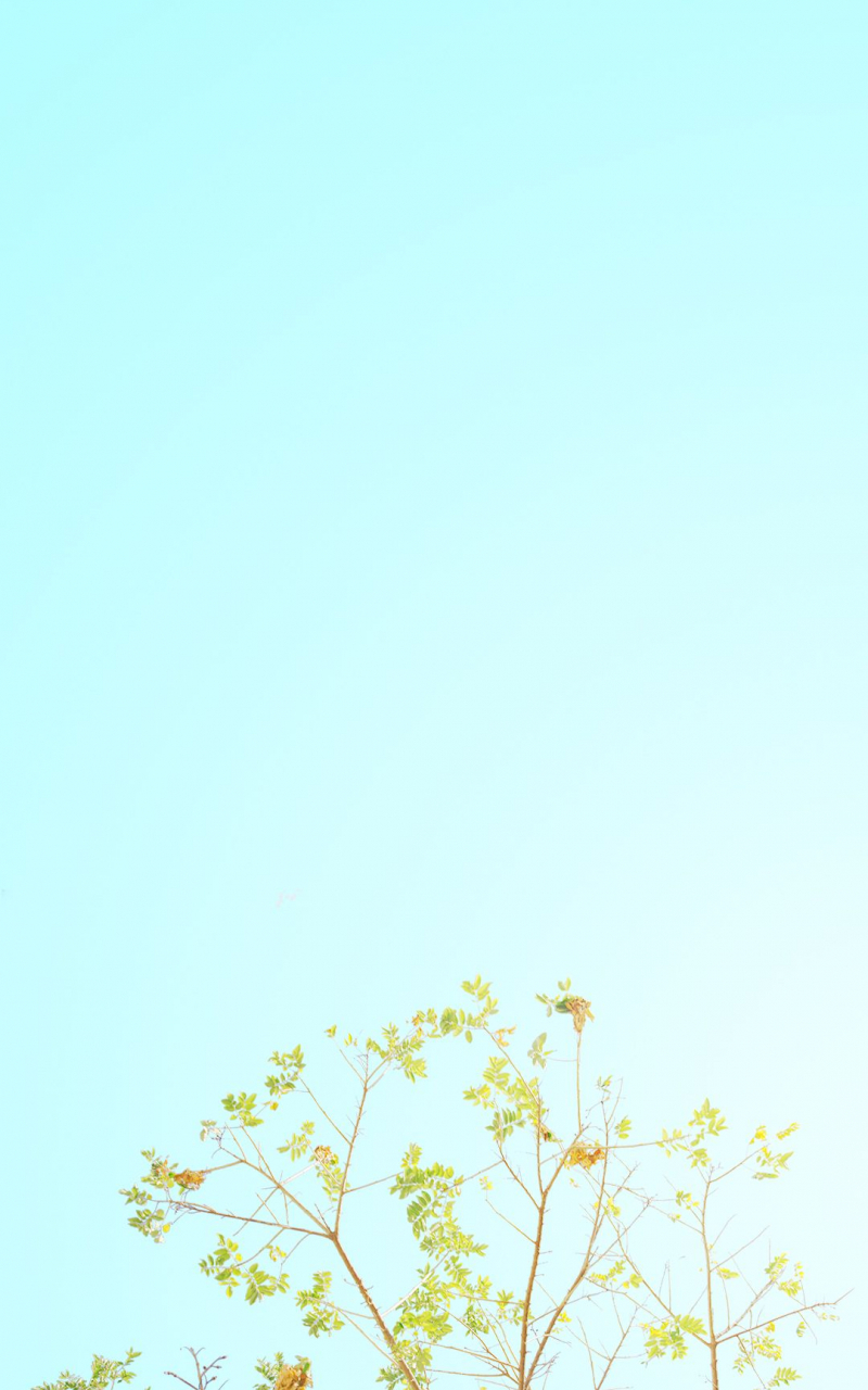 800x1280 Free download Spring Minimalist wallpaper in 2019 iPhone wallpaper [1080x1920] for your Desktop, Mobile & Tablet. Explore Minimalist Spring Wallpaper. Minimalist Spring Wallpaper, Minimalist Background, Minimalist Wallpaper, Phone