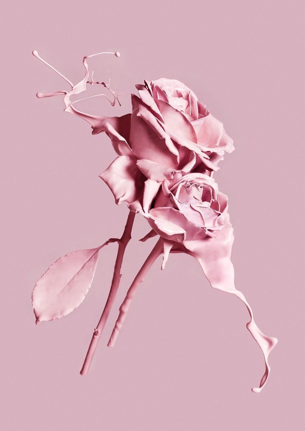 1070x1500 Aesthetic Pink Rose Wallpaper iPhone, Phone