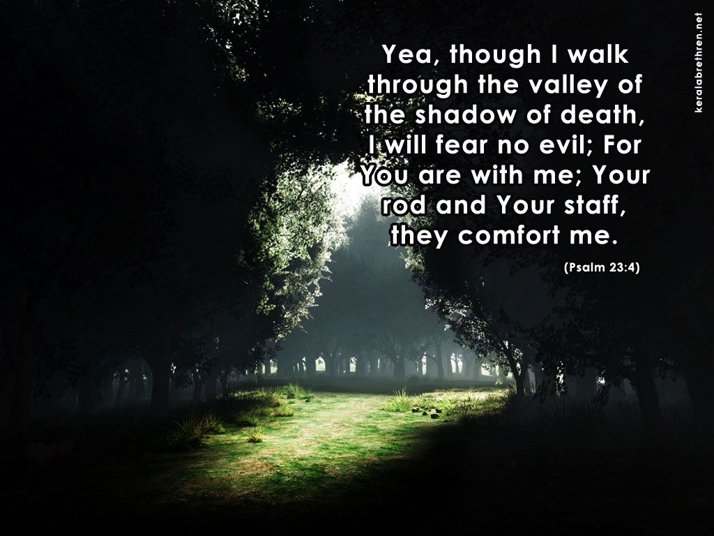 1030x770 Psalm 23 Wallpaper. Forgiveness Psalm 32, Desktop