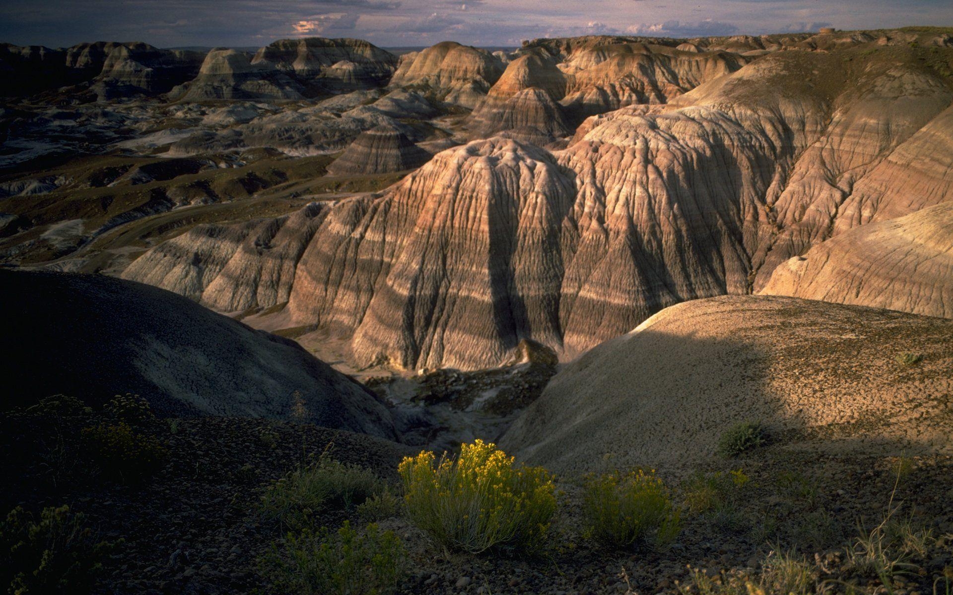 1920x1200 Petrified Badlands, Desktop