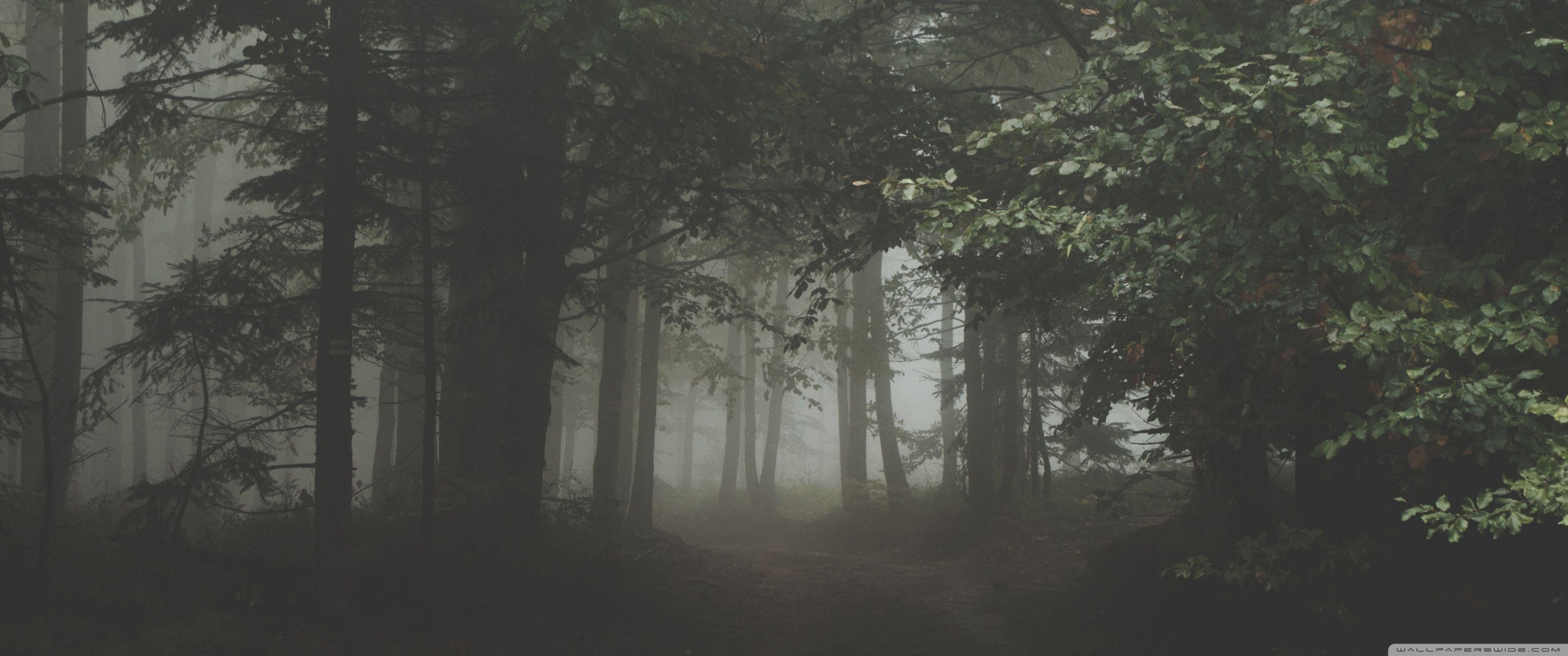 3440x1440 Sinister ❤ 4K HD Desktop Wallpaper for 4K Ultra HD TV • Wide, Dual Screen