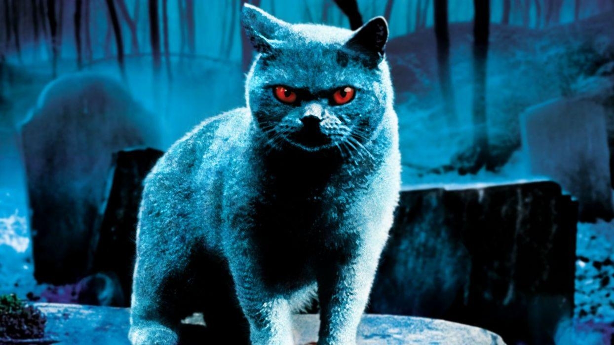 1250x700 PET SEMATARY horror dark king fantasy petsematary cat demon, Desktop