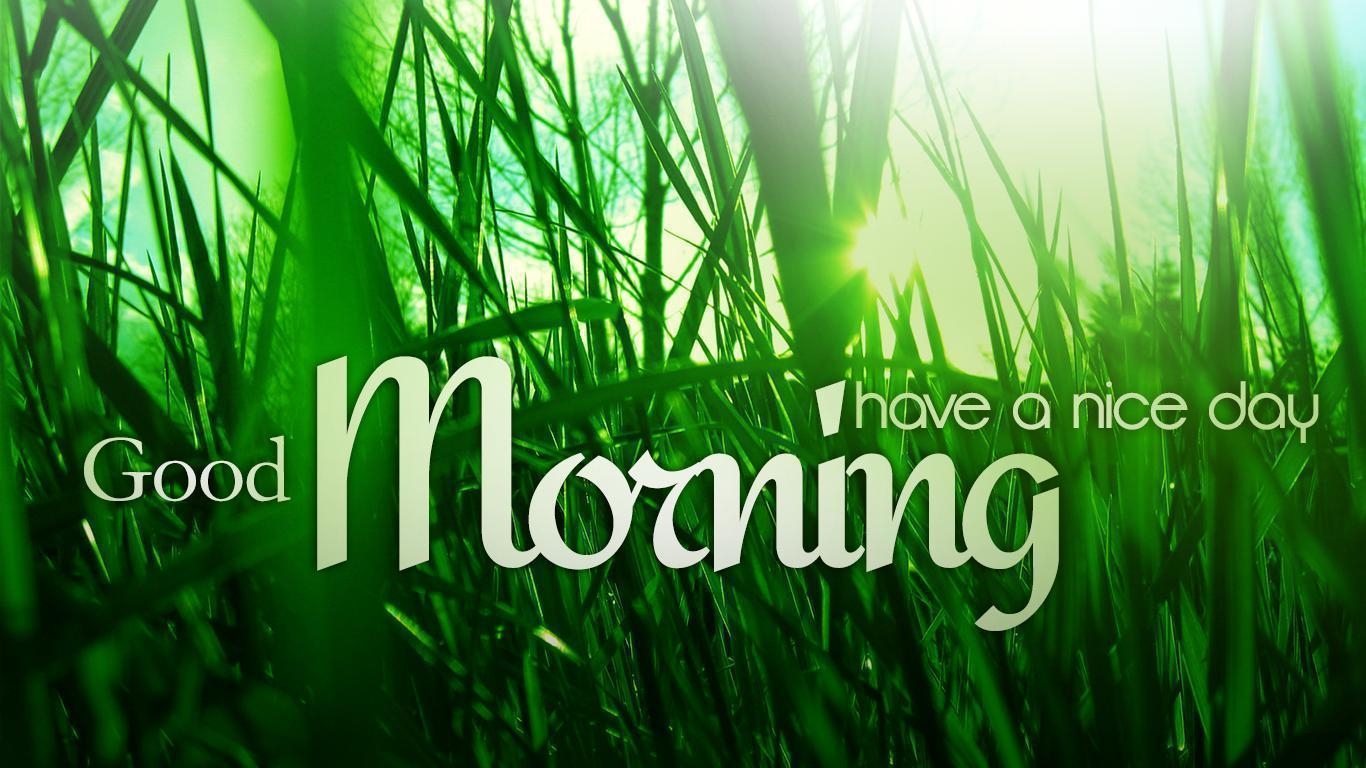 1370x770 latest good morning wallpaper download, Desktop