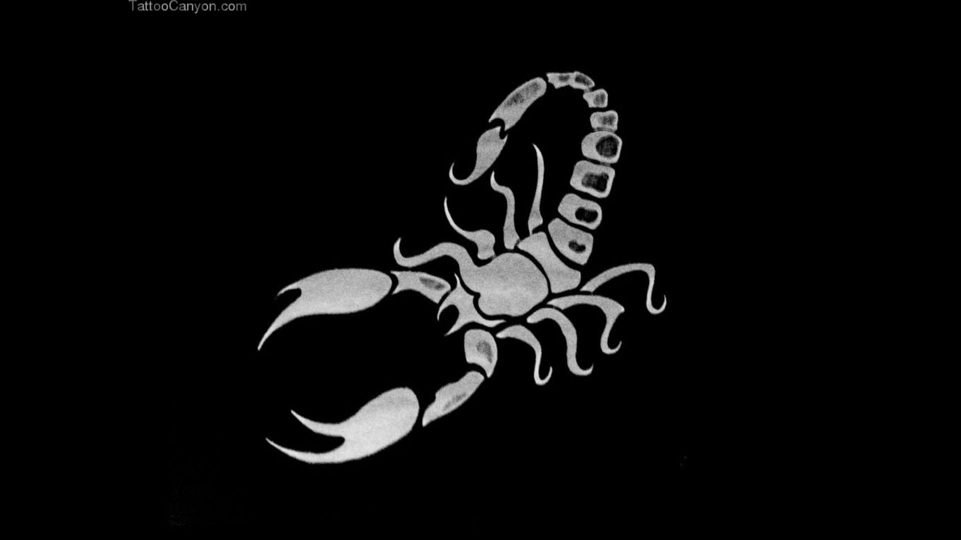 1920x1080 Scorpion Wallpaper Free Scorpion Background, Desktop