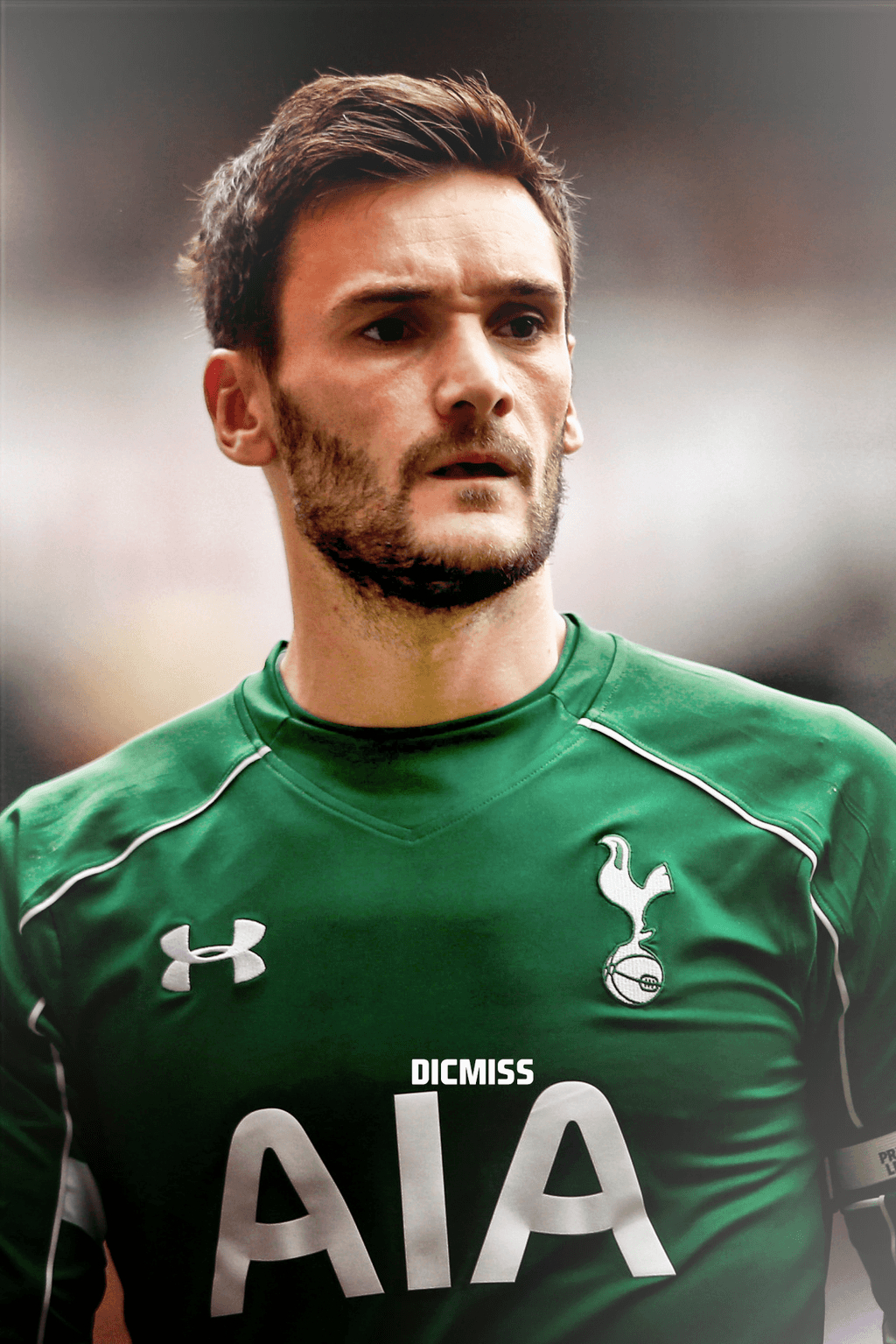 1030x1540 Hugo Lloris, Phone