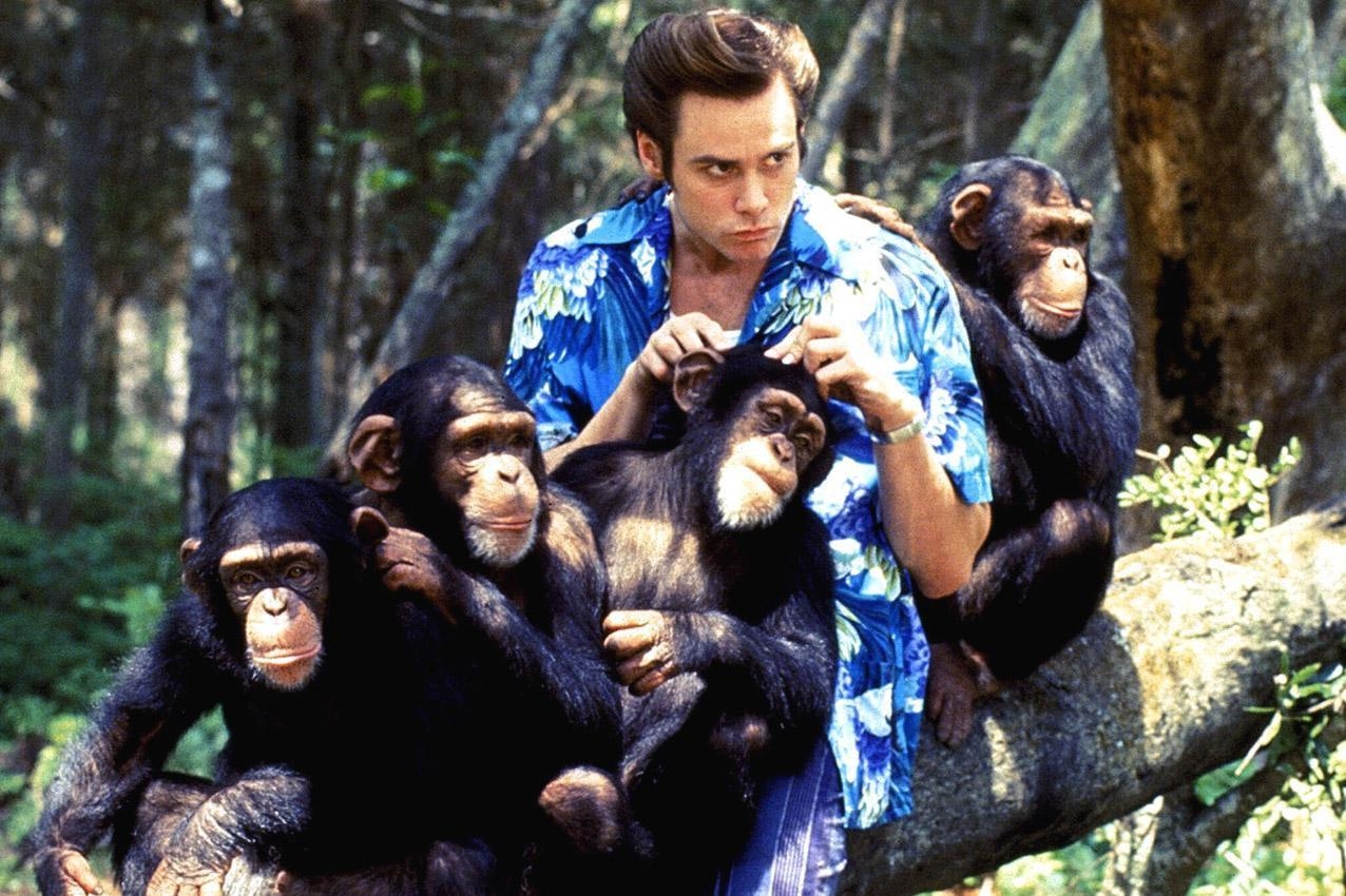 1280x850 Most viewed Ace Ventura: Pet Detective wallpaperK, Desktop