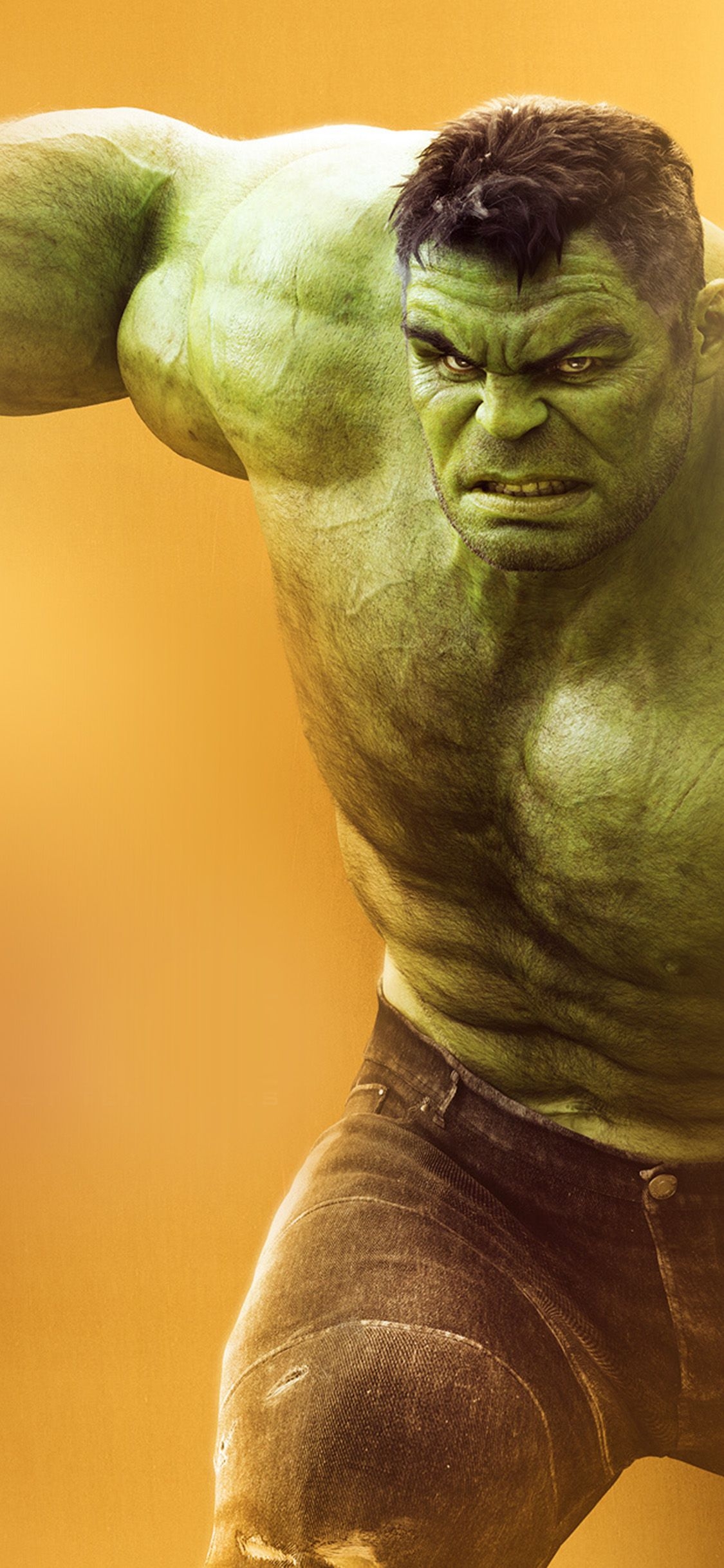 1130x2440 Hulk Marvel Hero Art Wallpaper, Phone