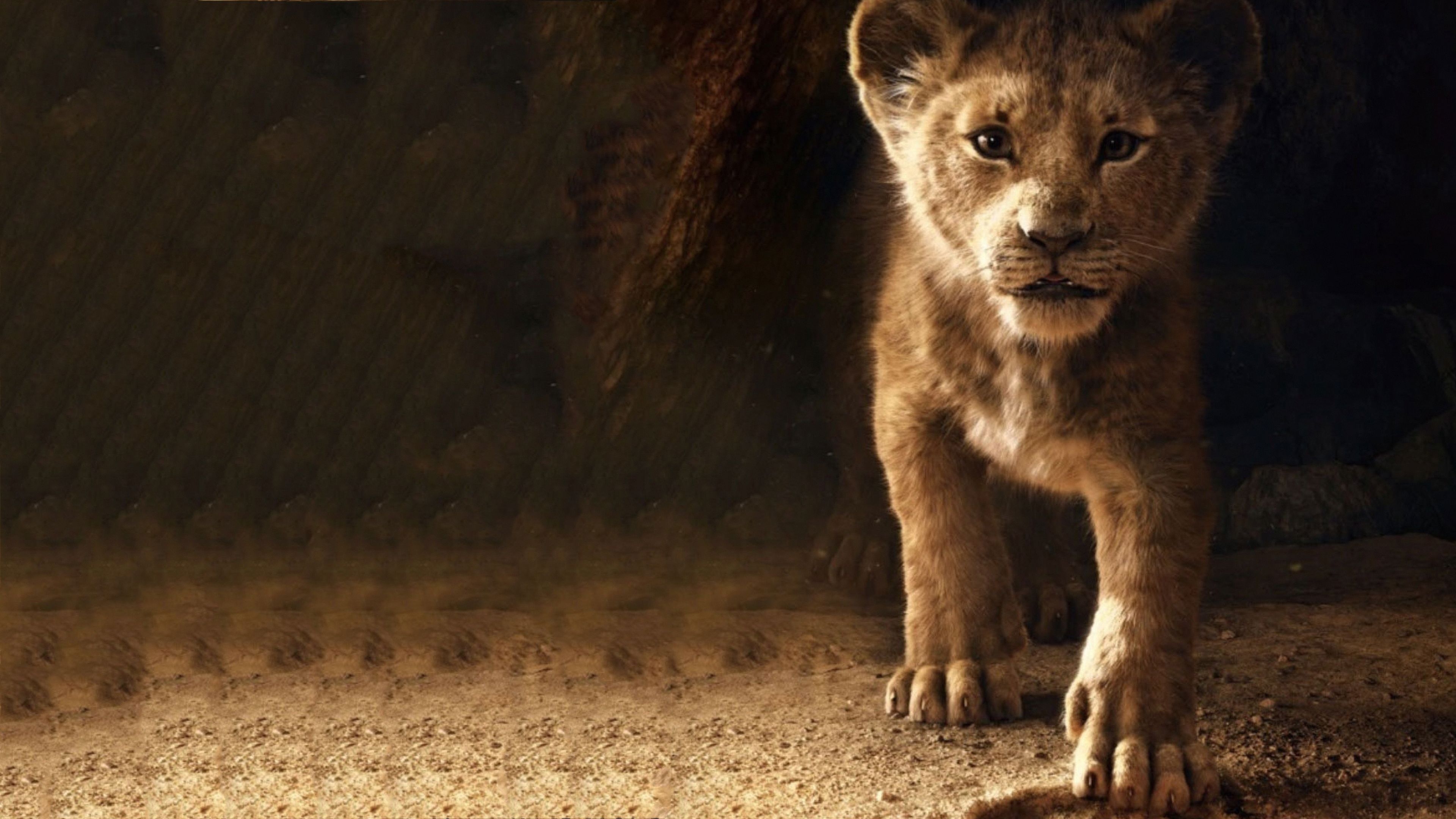 3840x2160 The Lion King Simba 2019 4k Laptop Full HD 1080P HD 4k Wallpaper, Image, Background, Photo and Picture, Desktop